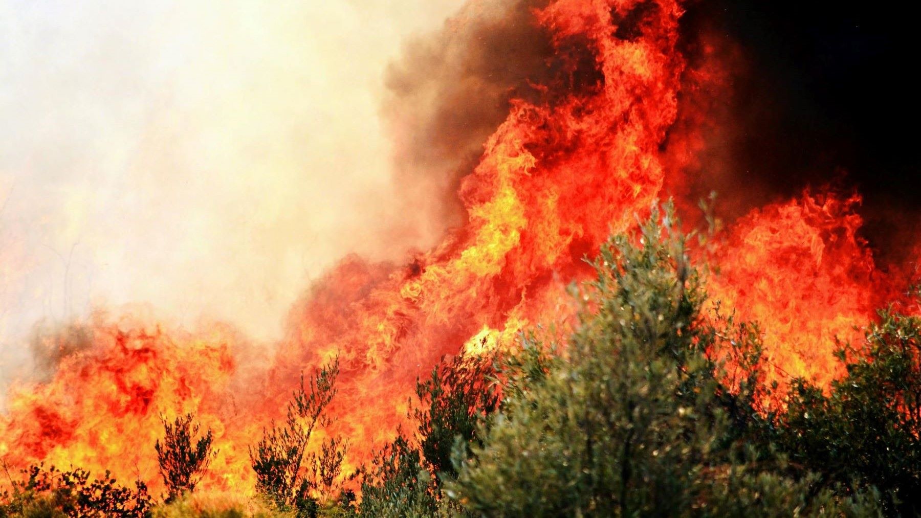riesgo de incendios por El Niño
