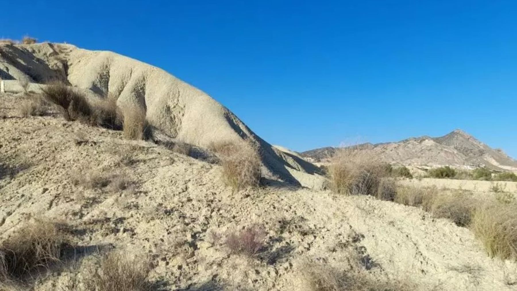 Estrategia de la Región de Murcia frente a la sequía en los montes