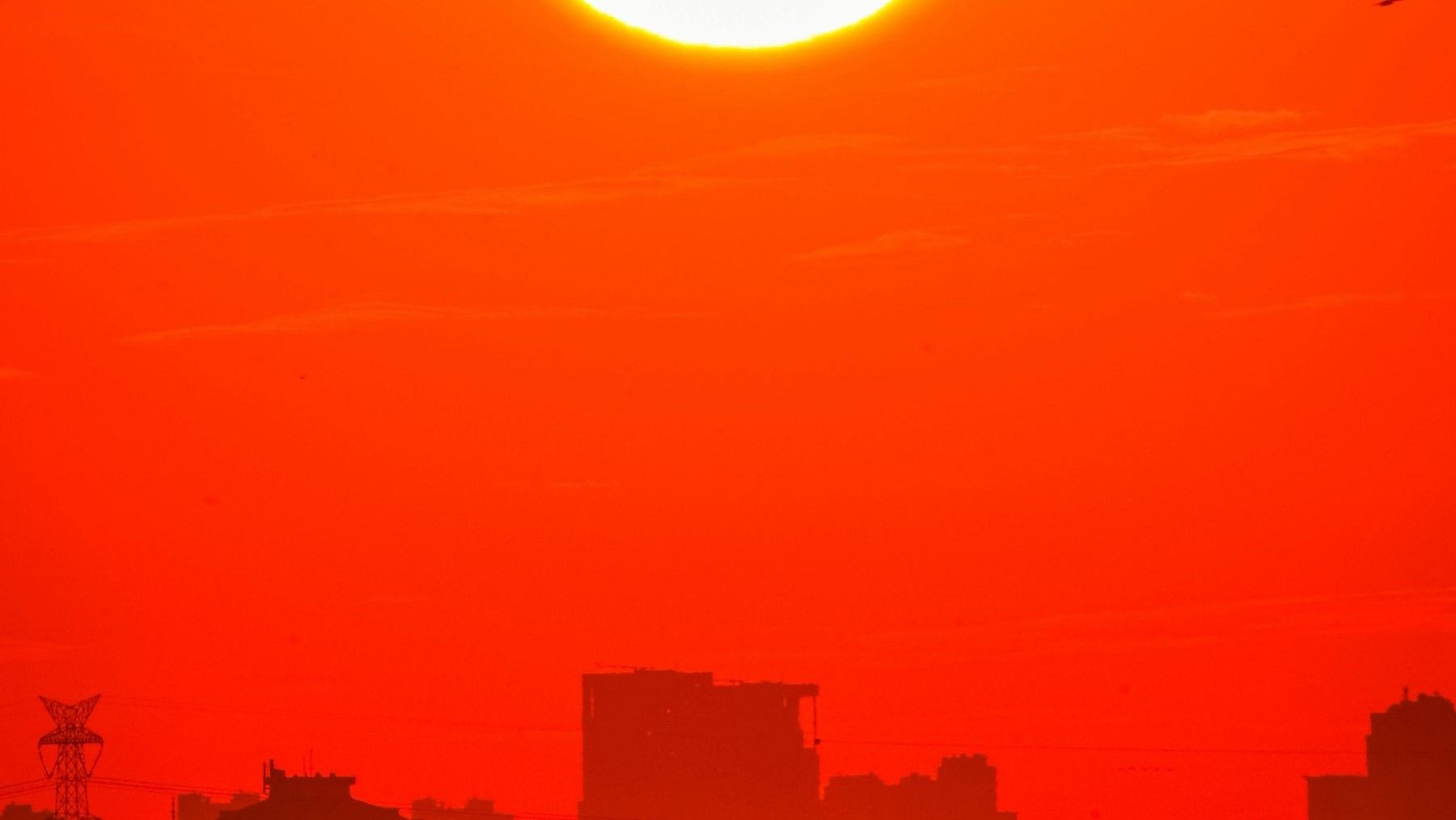 ola de calor en Europa provocada por el cambio climático con temperaturas extremas y riesgo de incendios