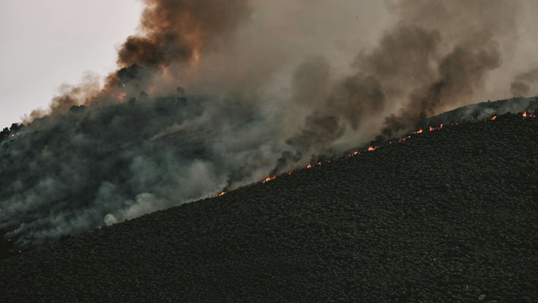 Incendios forestales y prevención ambiental en Tenerife