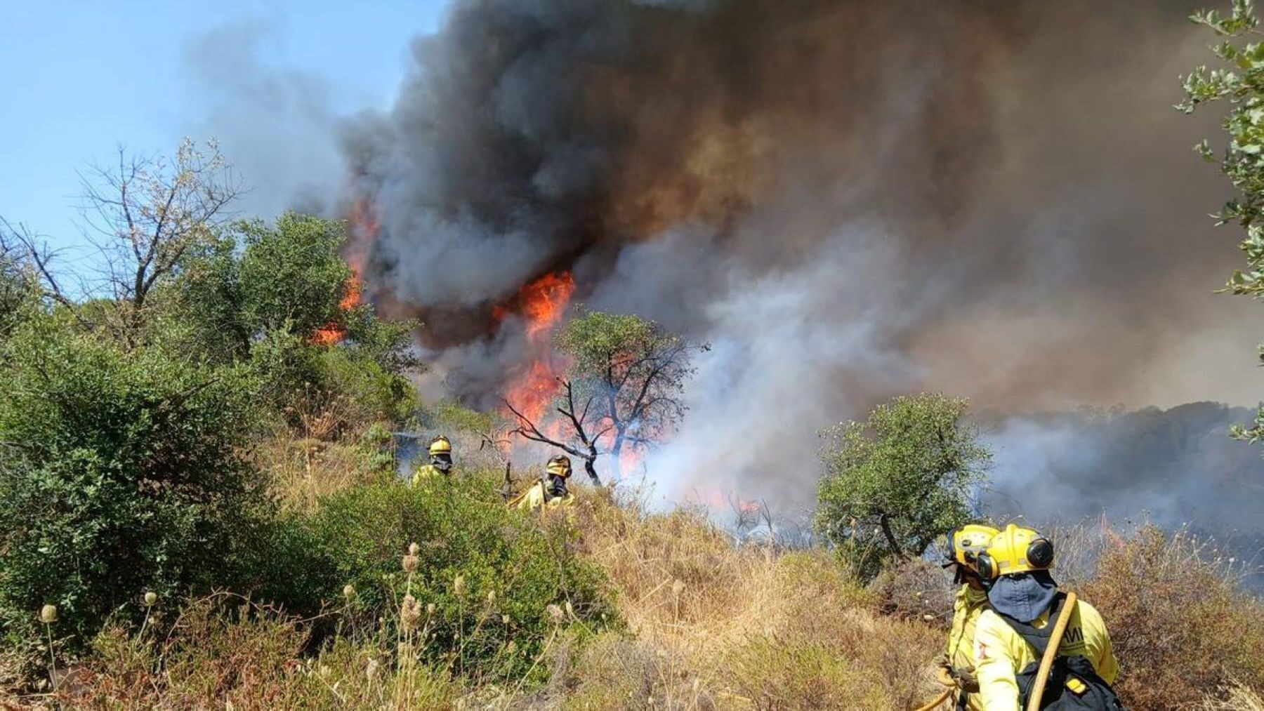 incendio intencionado en Doñana con medios aéreos actuando sobre el fuego