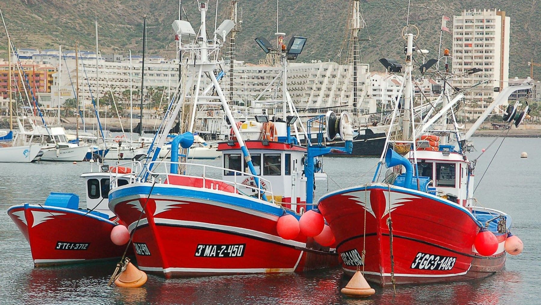 la pesca canaria contra la eólica marina en Europa por su impacto en el sector