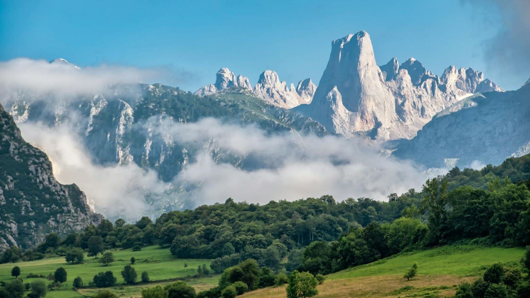Fondos para la conservación de los prados en Picos de Europa