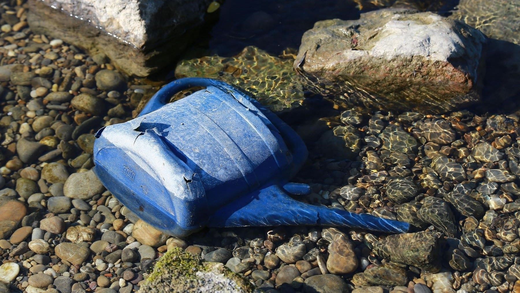 basura en el Guadalquivir frente a Doñana