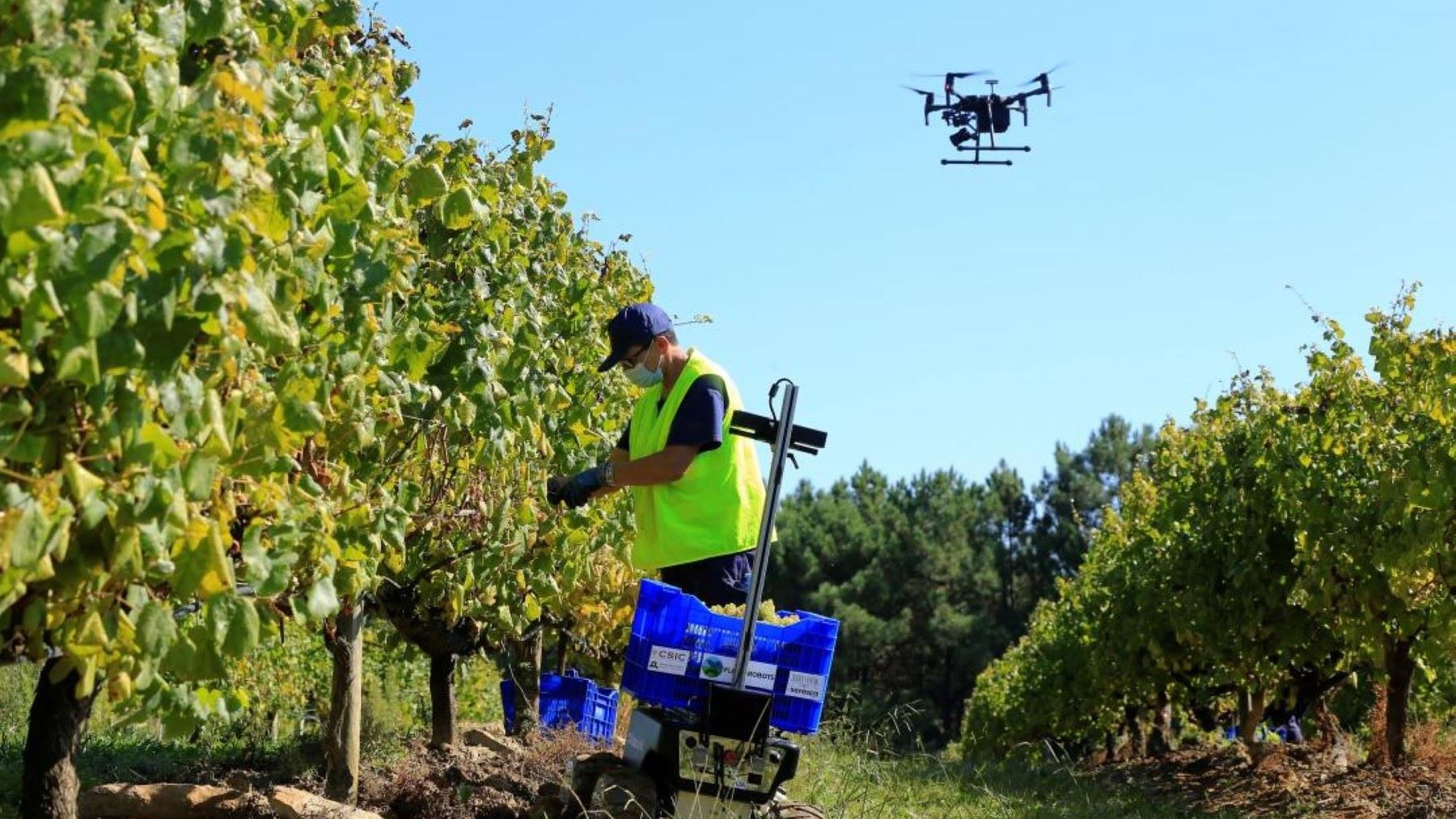 Robots agrícolas inteligentes