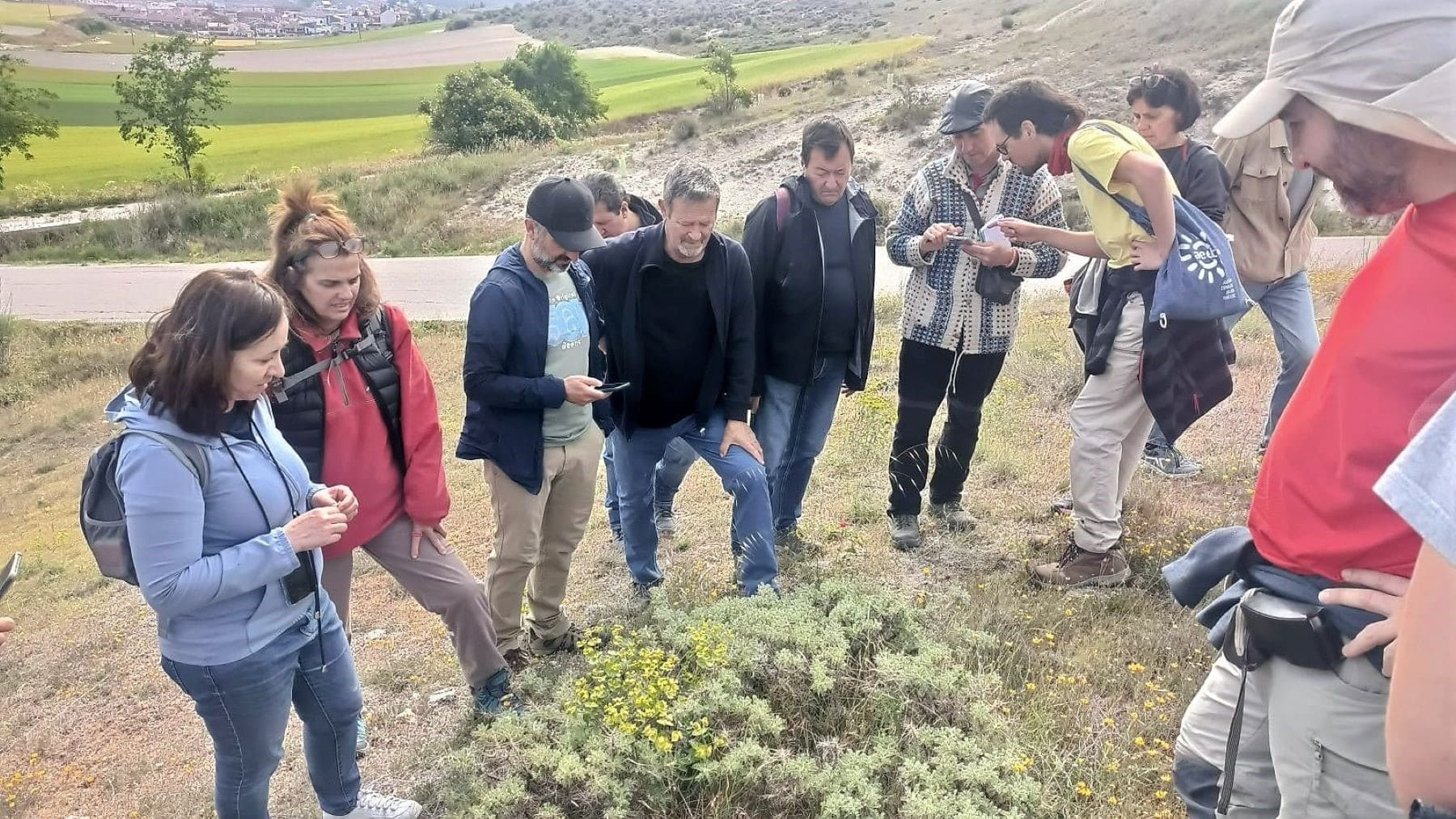 Biomaratón de Flora Española 2026