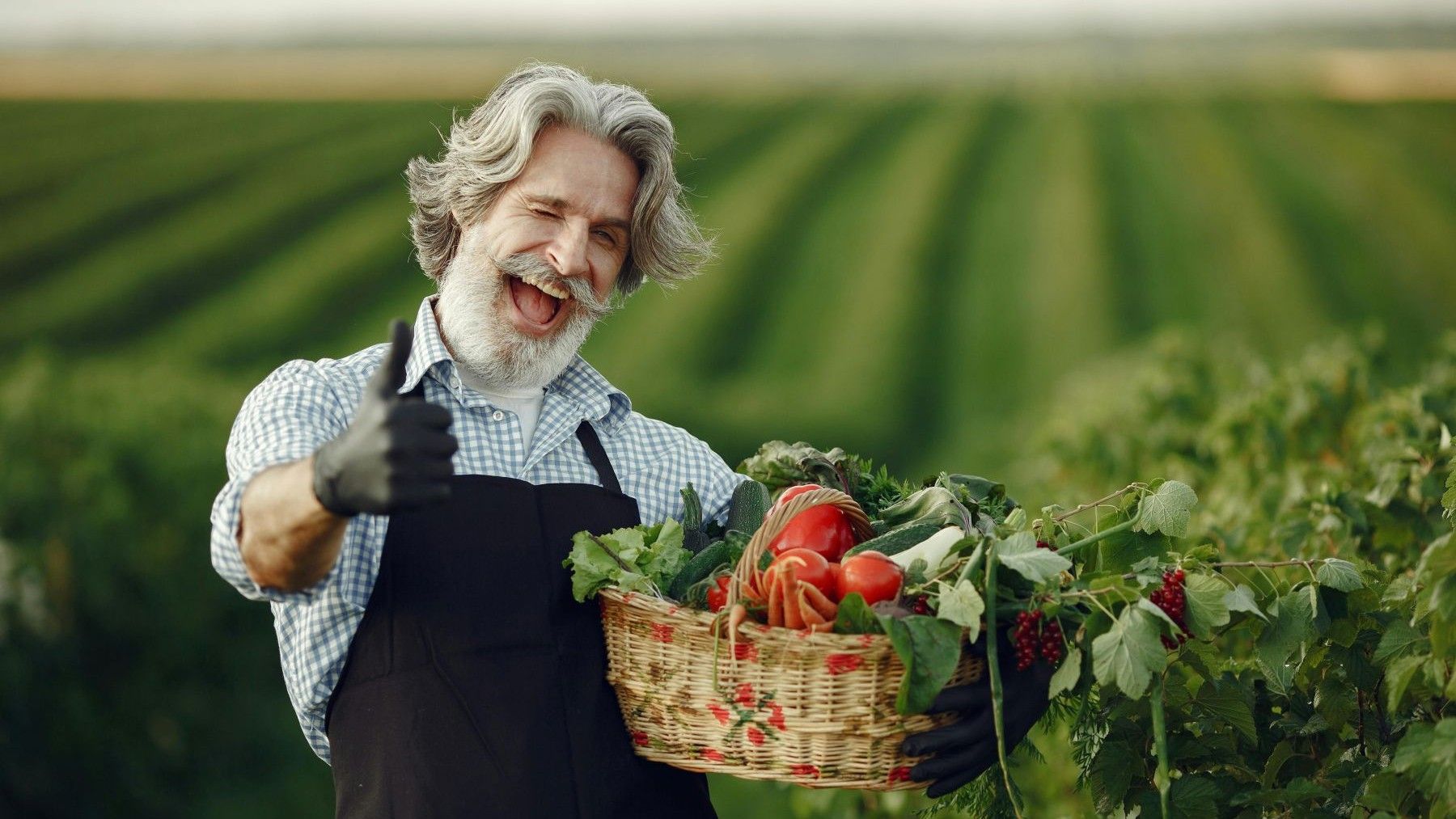 Imagen relacionada con que Suiza votará en referéndum fomentar la producción y consumo de alimentos vegetales