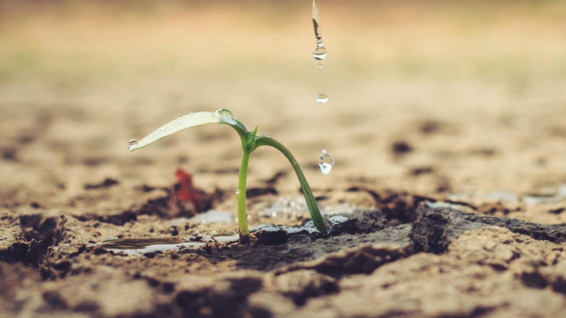Sequías y tormentas extremas relacionadas con el cambio climático