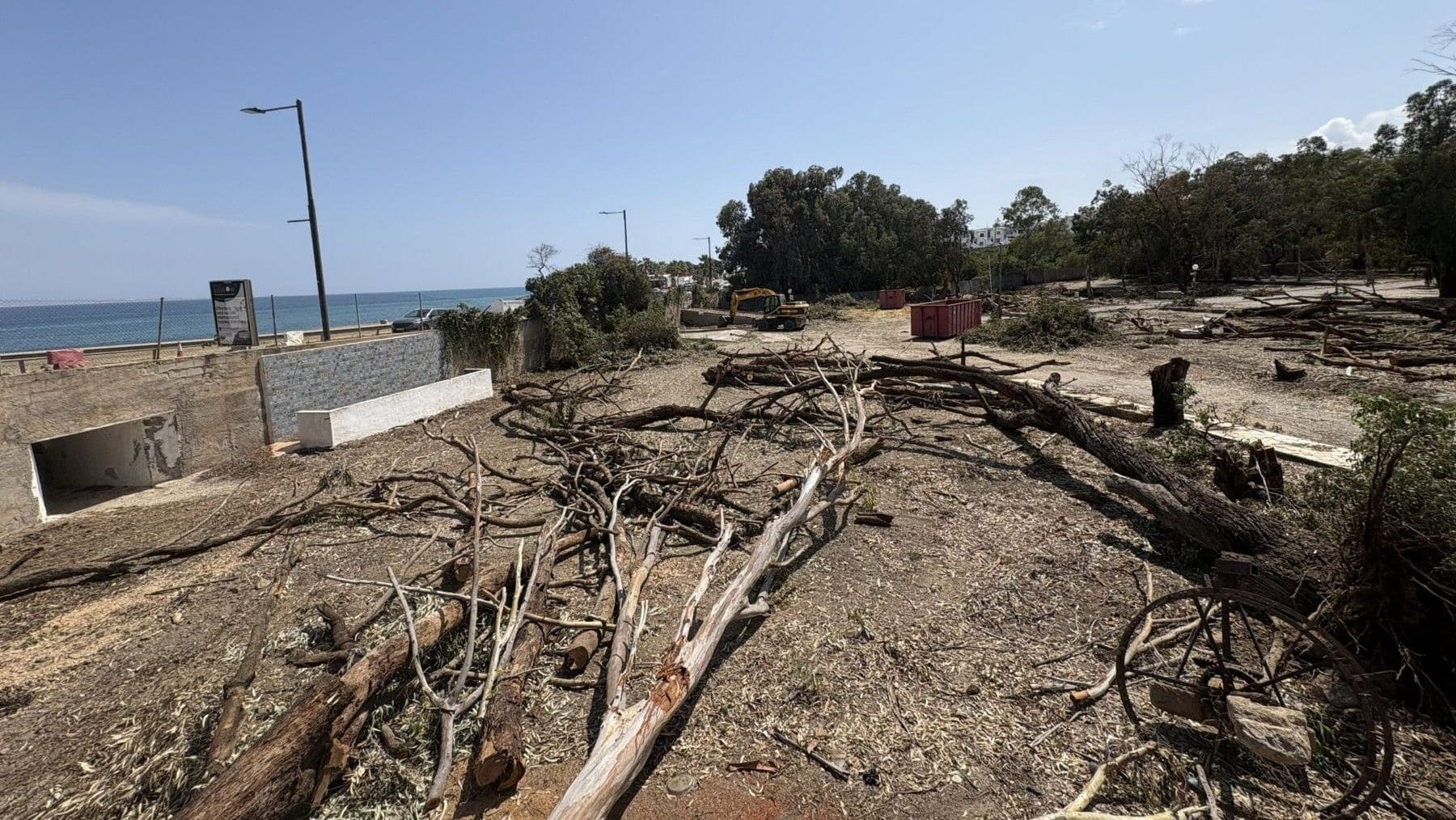 Tala ilegal de árboles en Mojácar en zona protegida litoral Almería