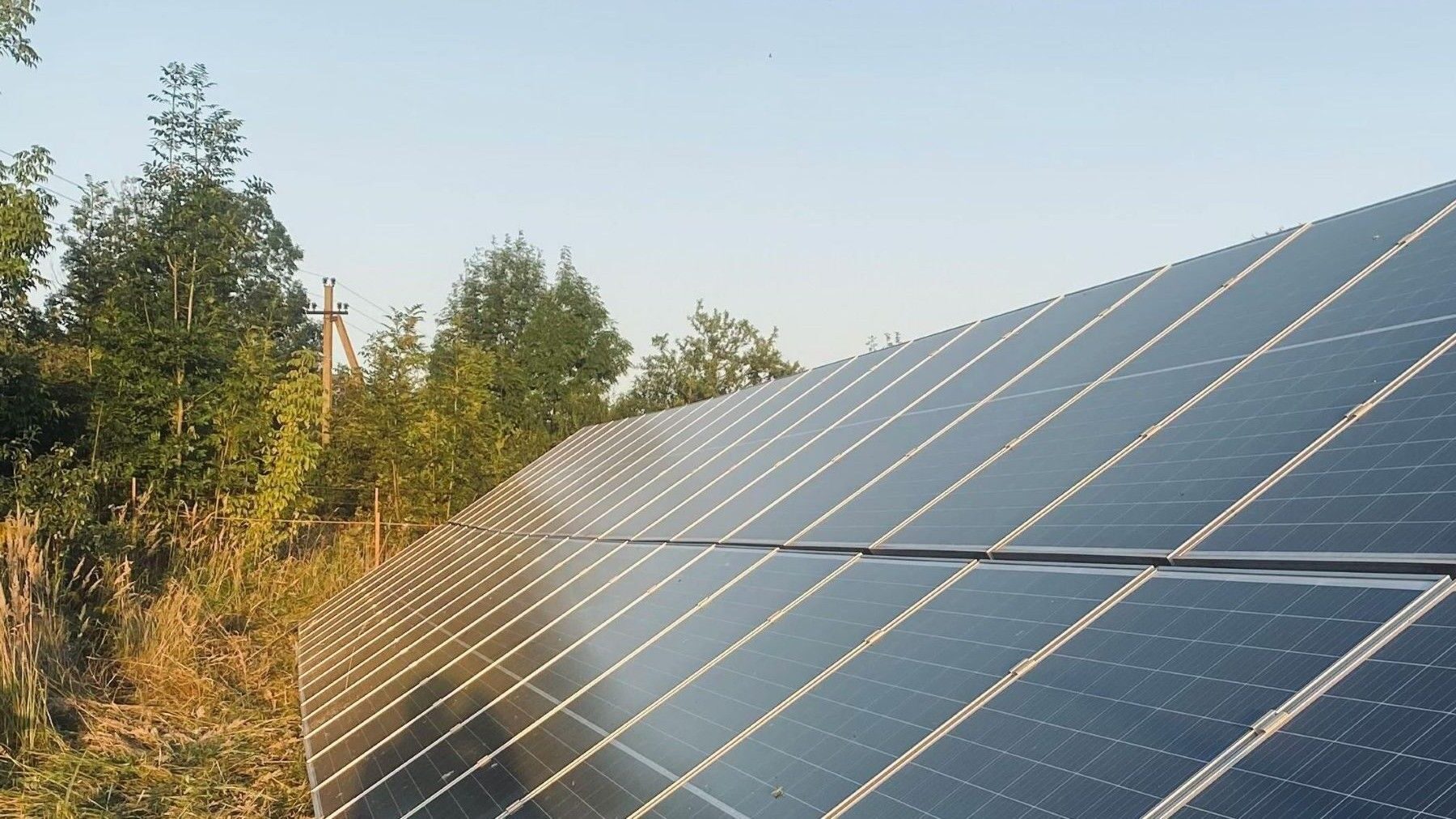 Construyen plantas fotovoltaicas muy cerca de nidos de águila en Guadalajara biodiversidad