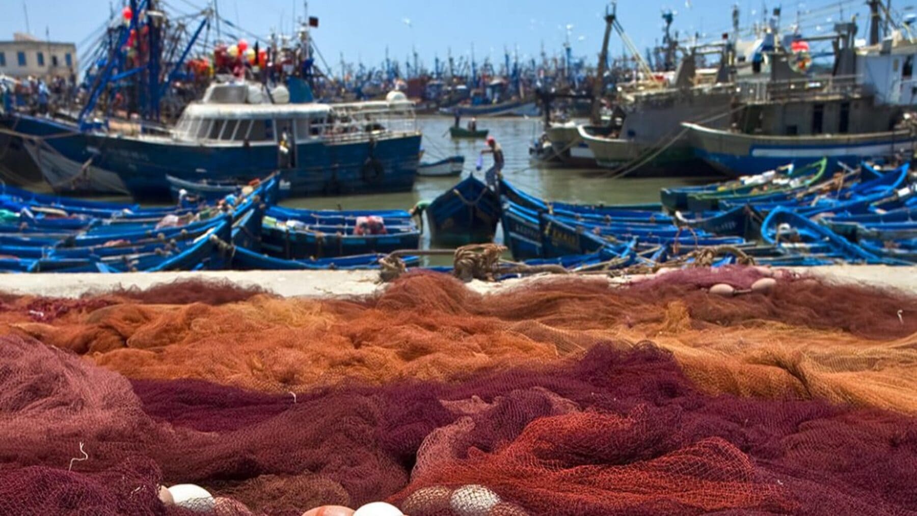 Política Pesquera Común evaluación UE pesca sostenible