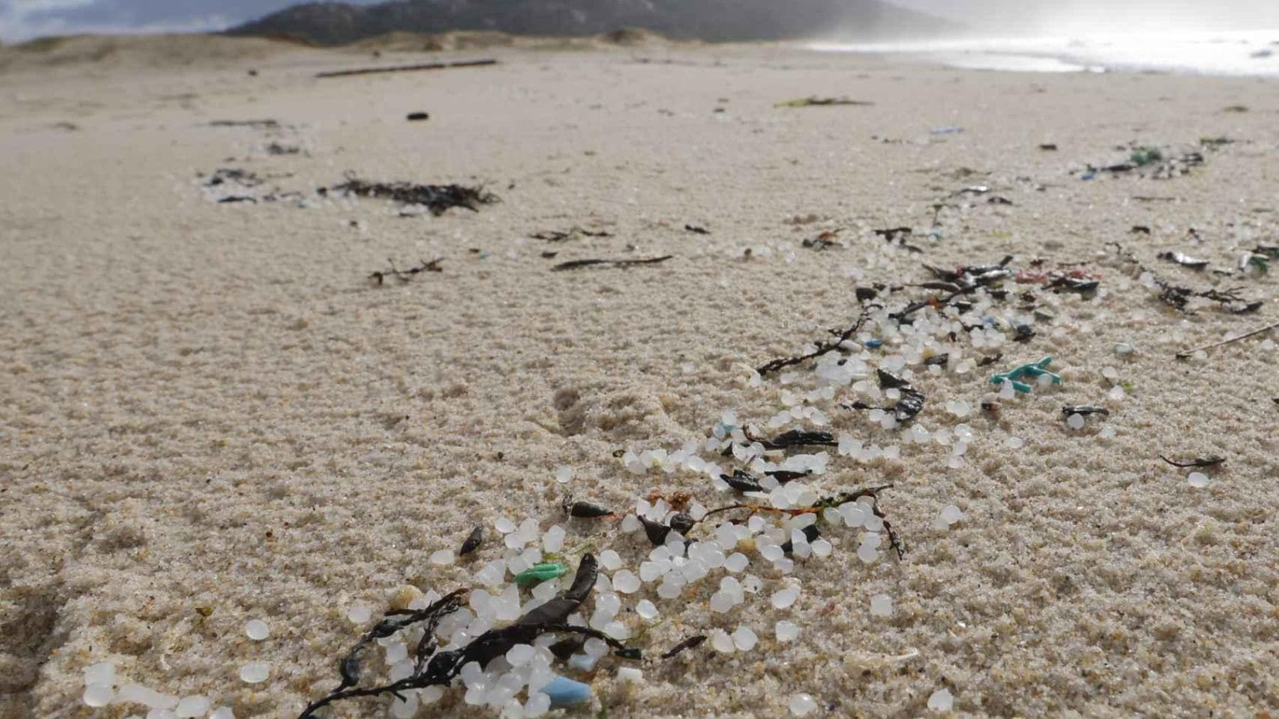 Microplásticos en la arena de una playa con pellets visibles en Zurriola, Orio y Hendaia.