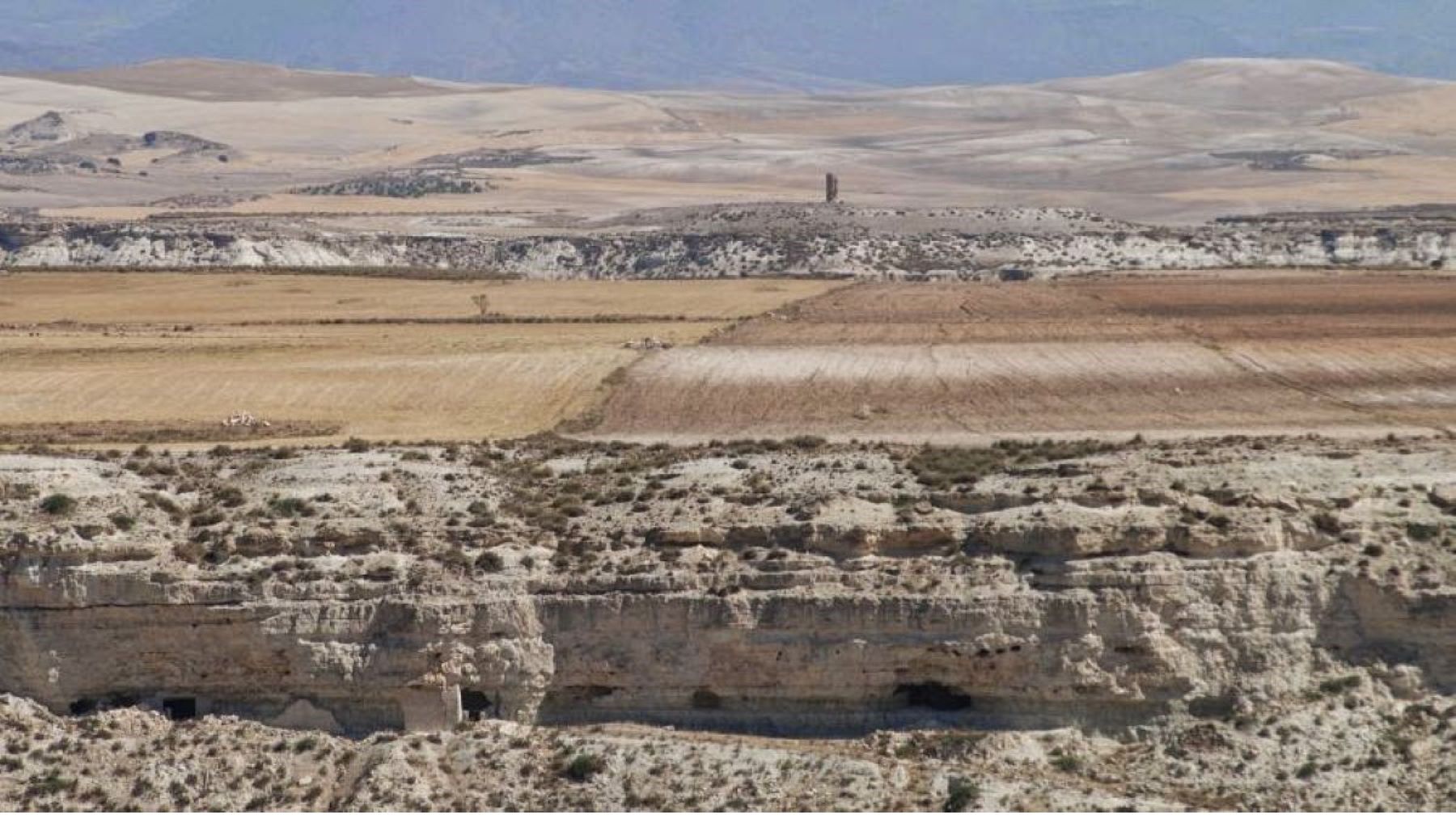 Humedal prehistórico en Granada con fauna del Pleistoceno
