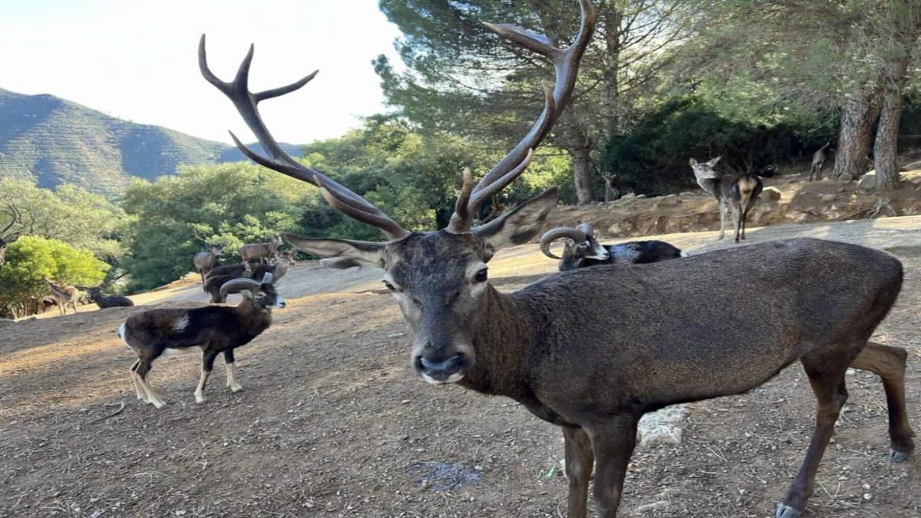 Eco Reserva de Ojén en Málaga tras el recurso de la Junta ante el Supremo