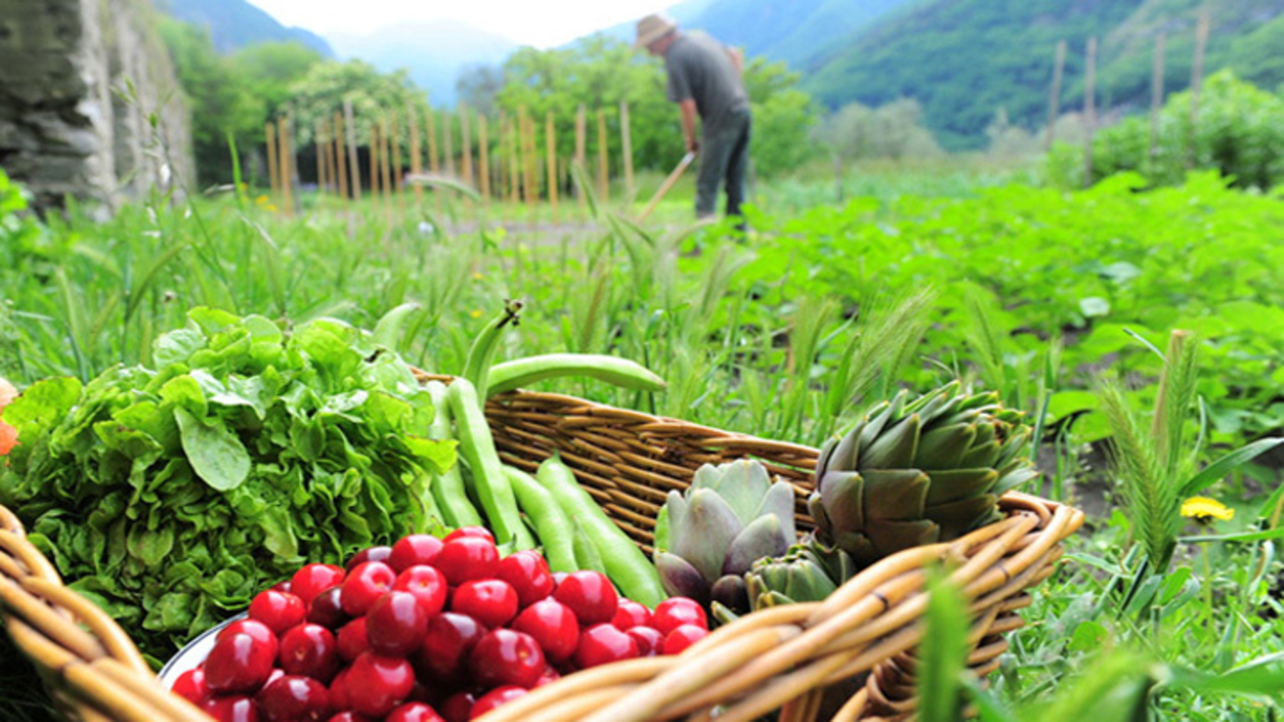 Cooperación en producción ecológica entre España y China