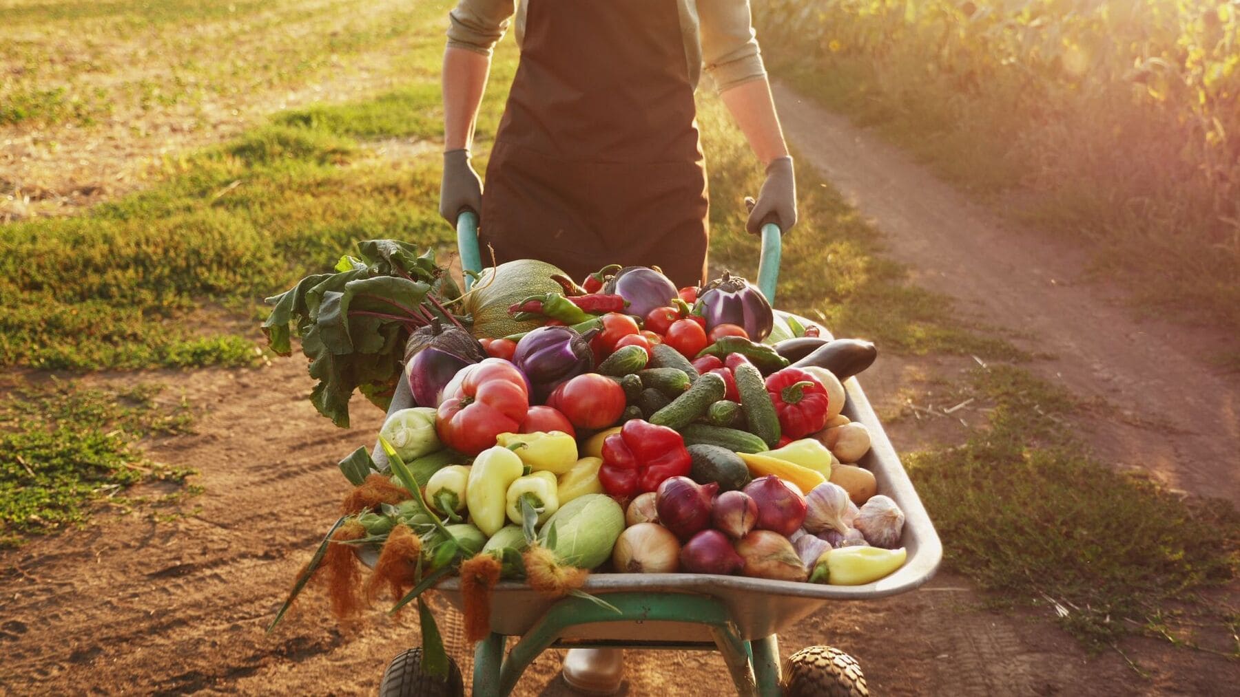 agricultura ecologica como alternativa frente a la crisis de fertilizantes
