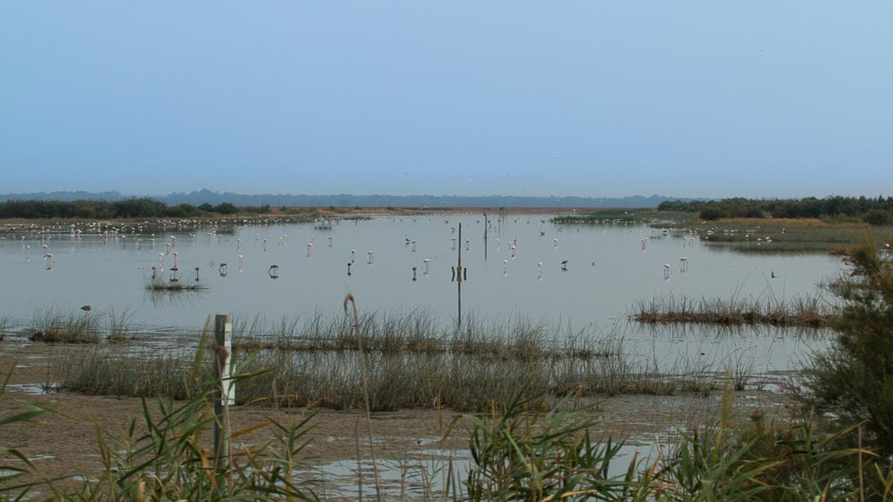el Congreso aprueba restaurar el río Guadiamar para salvar Doñana y frenar la crisis hídrica