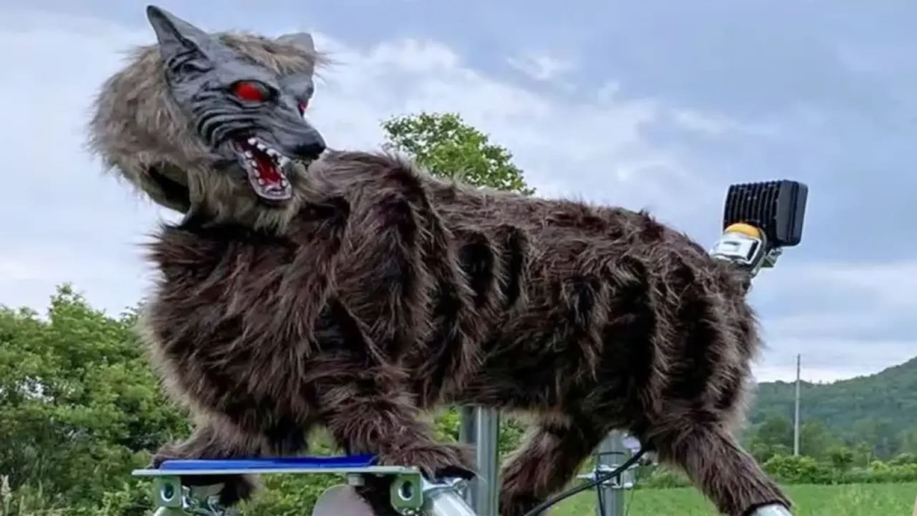 lobo robot Monster Wolf