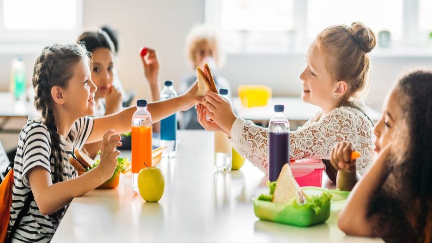 Escolares y alimentos relacionados con el programa escolar de consumo de frutas hortalizas y leche
