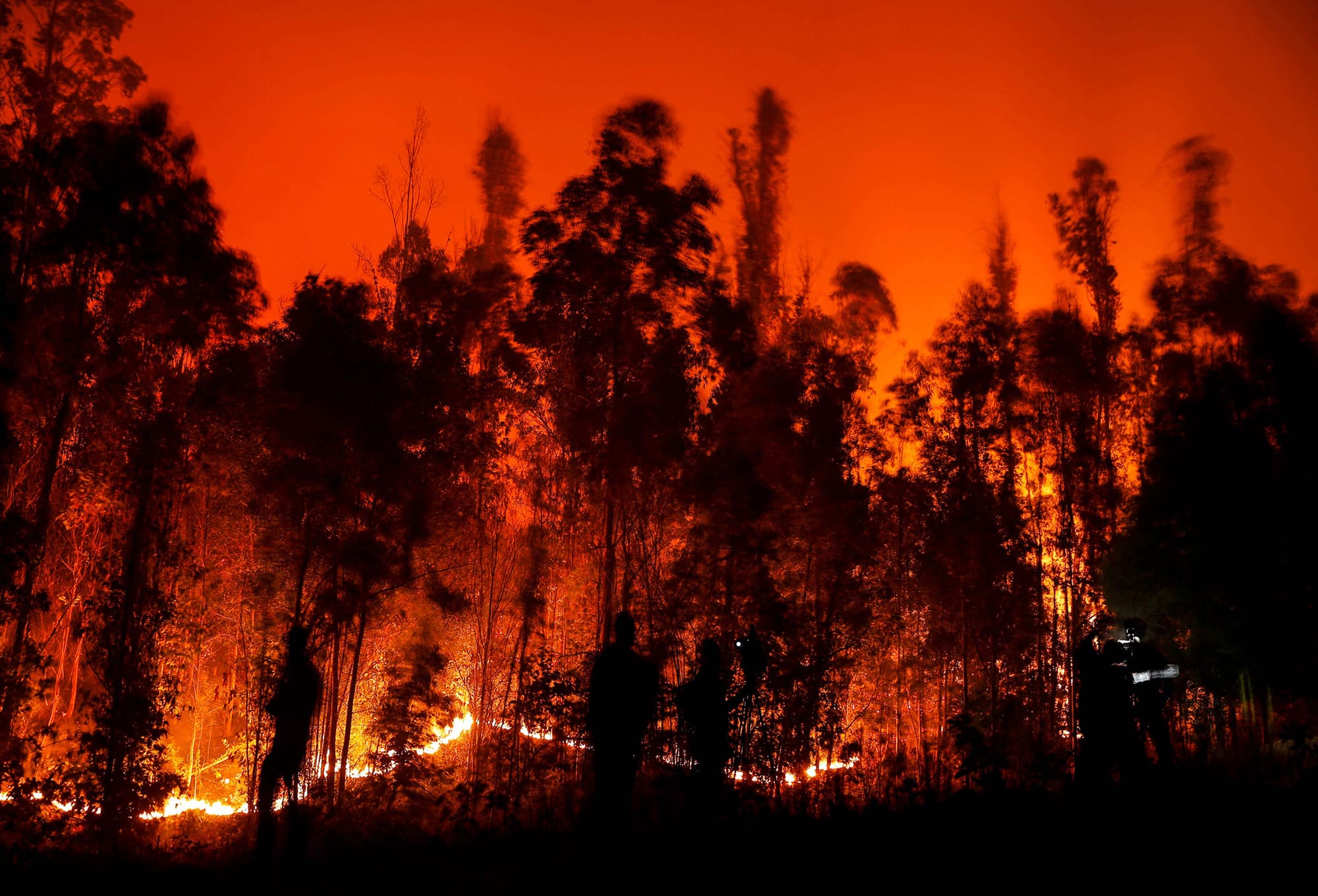 Megaincendios en Extremadura y riesgo climático en zonas forestales