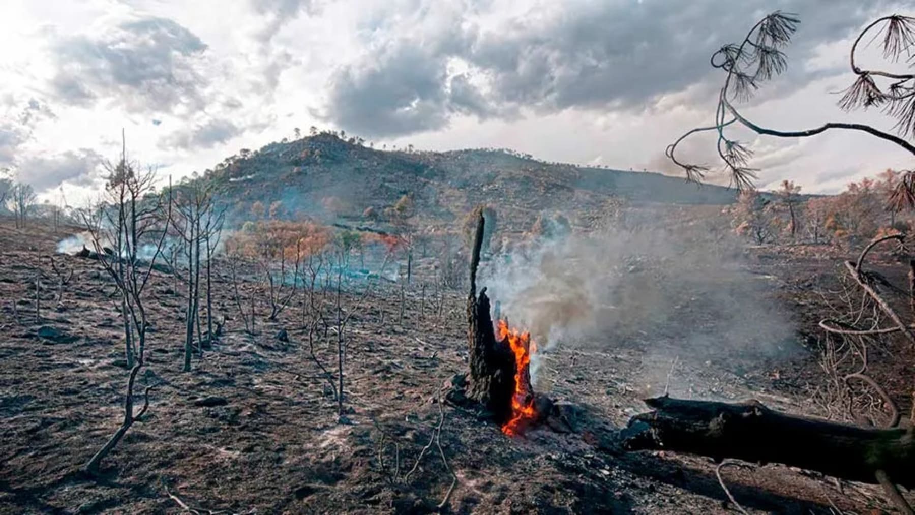 incendios forestales en España durante una ola de calor extrema