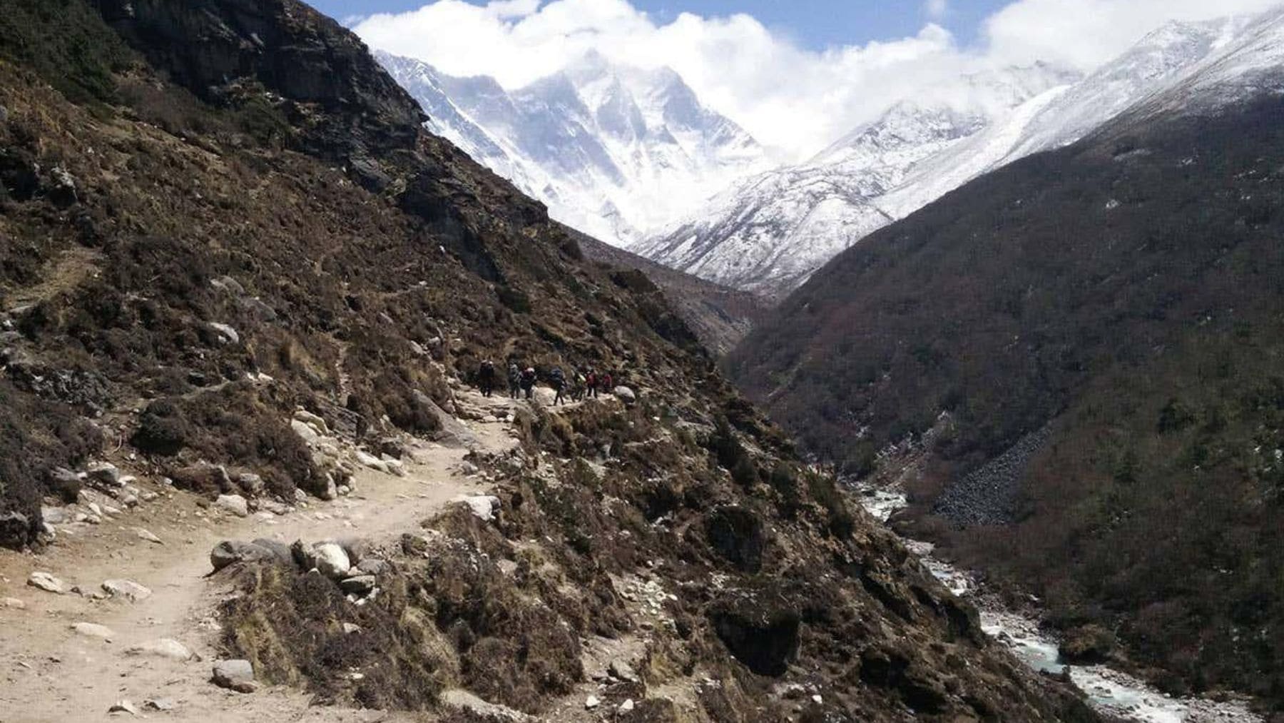 Vegetación avanzando en una zona montañosa del Himalaya con nieve y glaciares al fondo