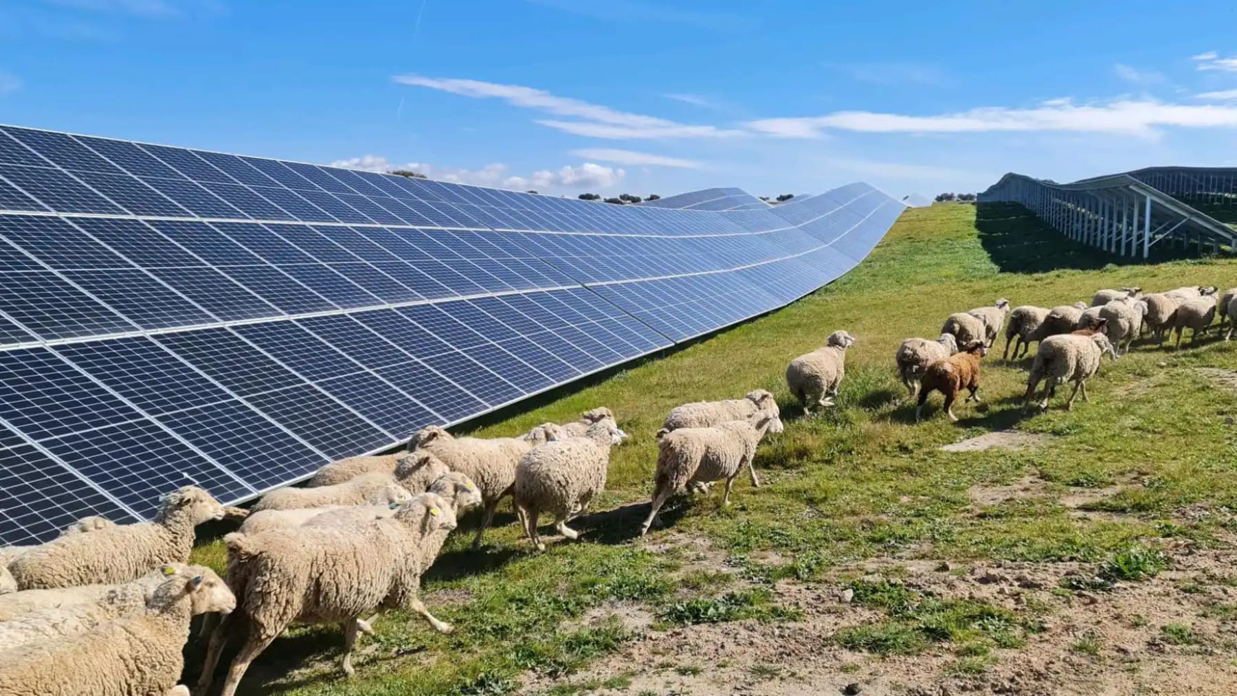 planta fotovoltaica Ekiola Aiara