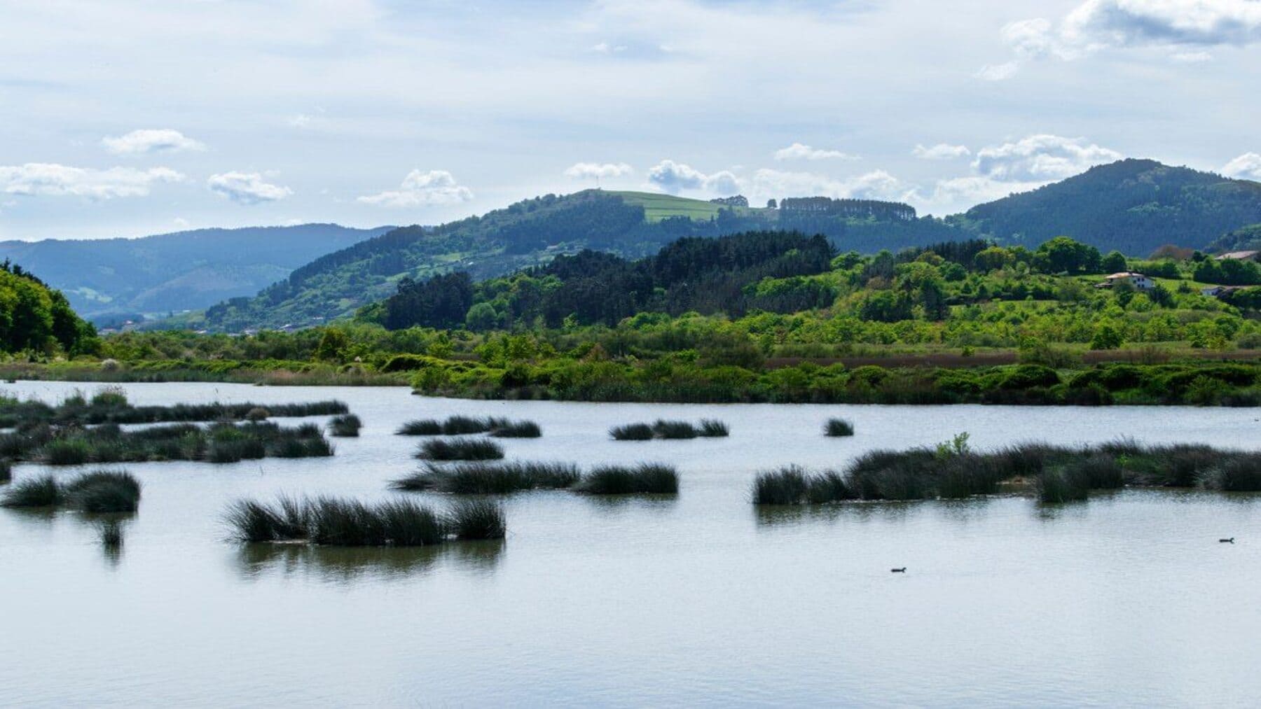 Investigadores implican a municipios de Bizkaia en la mejora de la calidad del agua