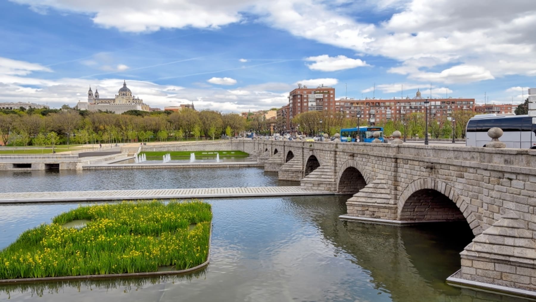 Suelta de peces en el rio Manzanares con especies autóctonas vulnerables