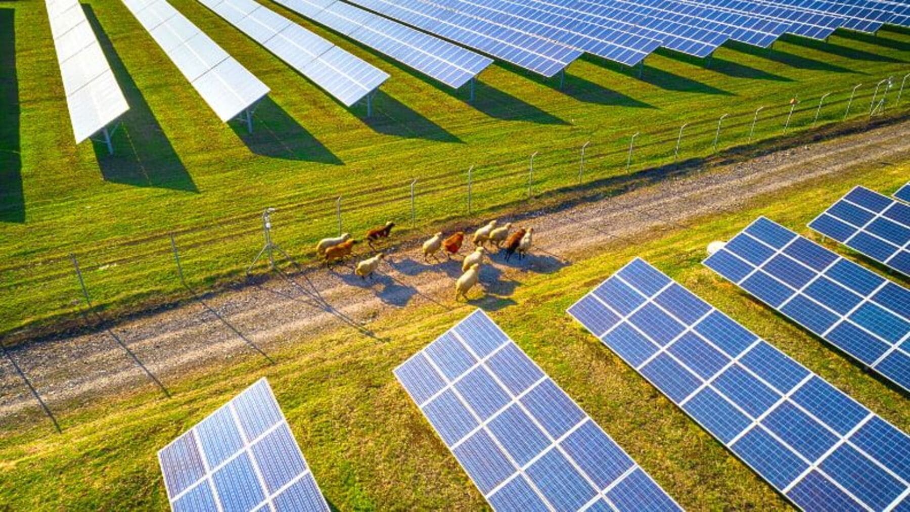 Baleares fija nuevos criterios para proyectos fotovoltaicos y proteger el medio ambiente