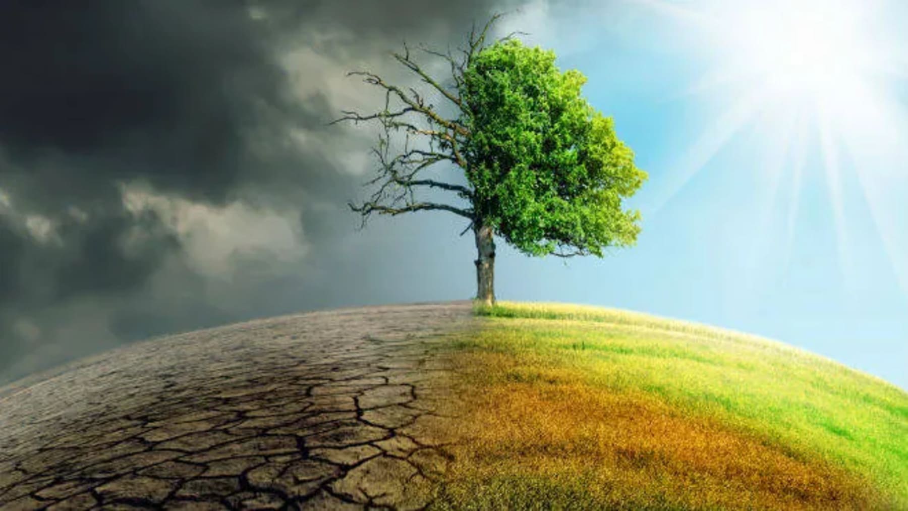 resiliencia climática