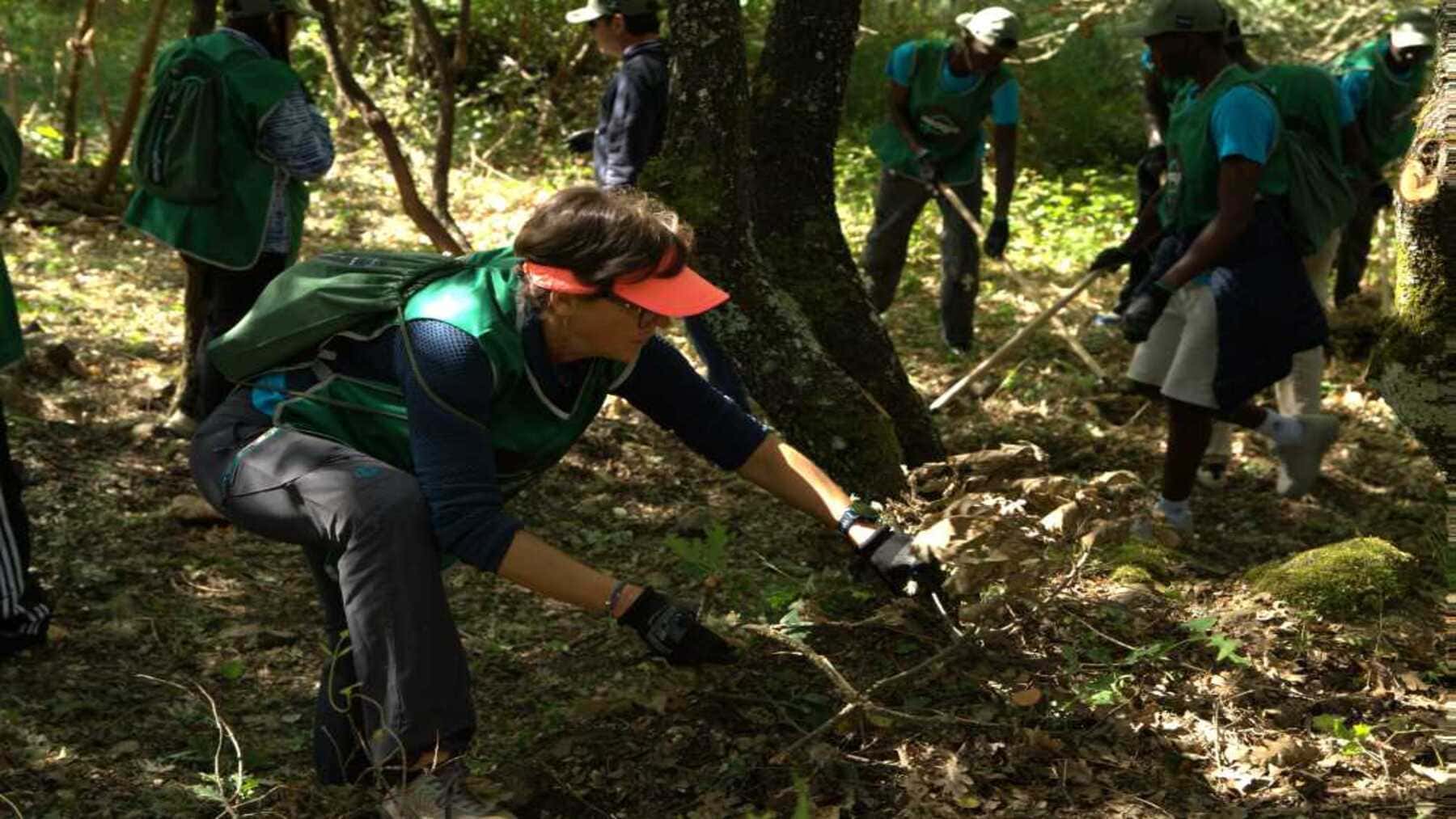 prevención de incendios forestales IMAGIN creando anillos de protección forestal