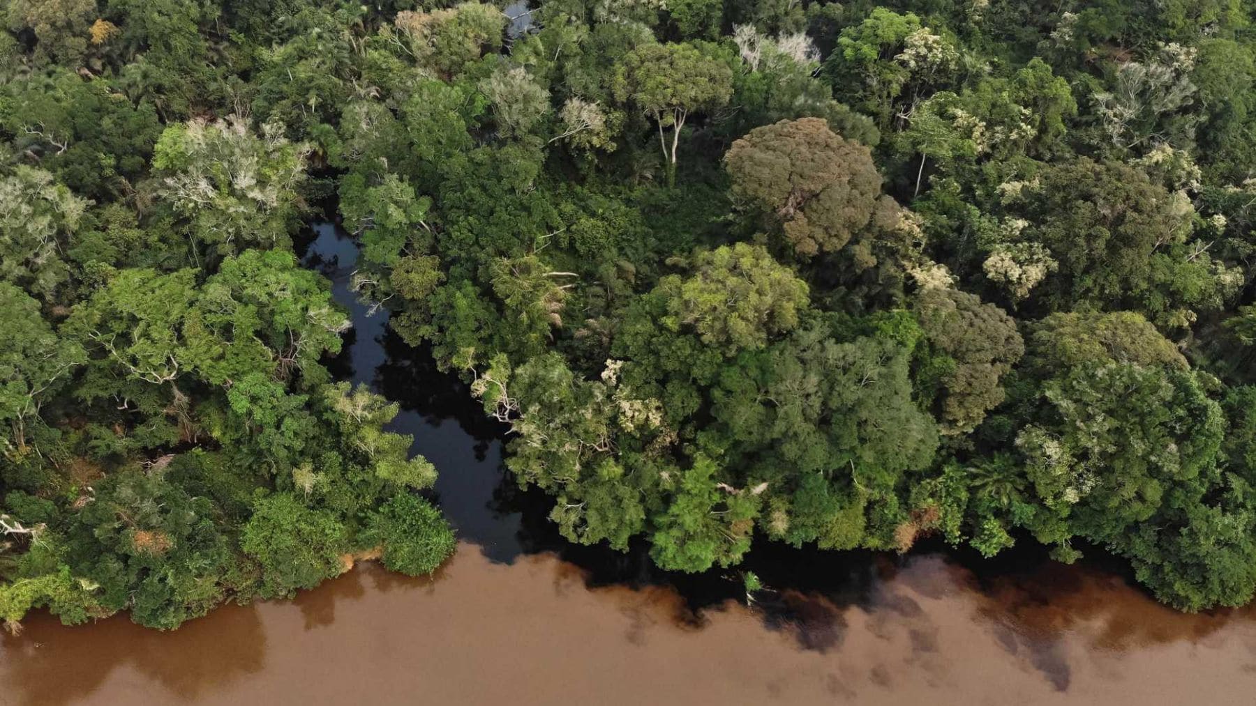 ECOticias.com - El Periódico Verde 114 Vista aérea de un río de aguas negras en las turberas de la cuenca del Congo, en África.