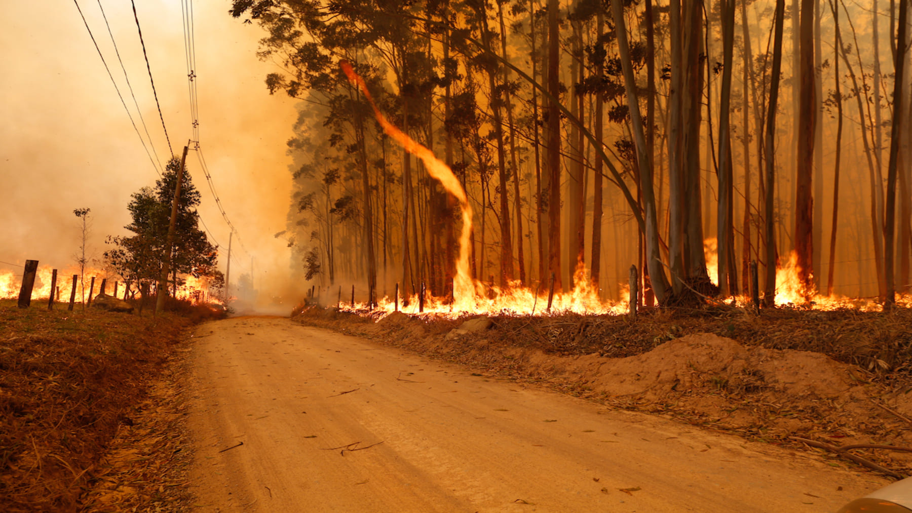 robot bombero incendios forestales tecnologia IA extincion