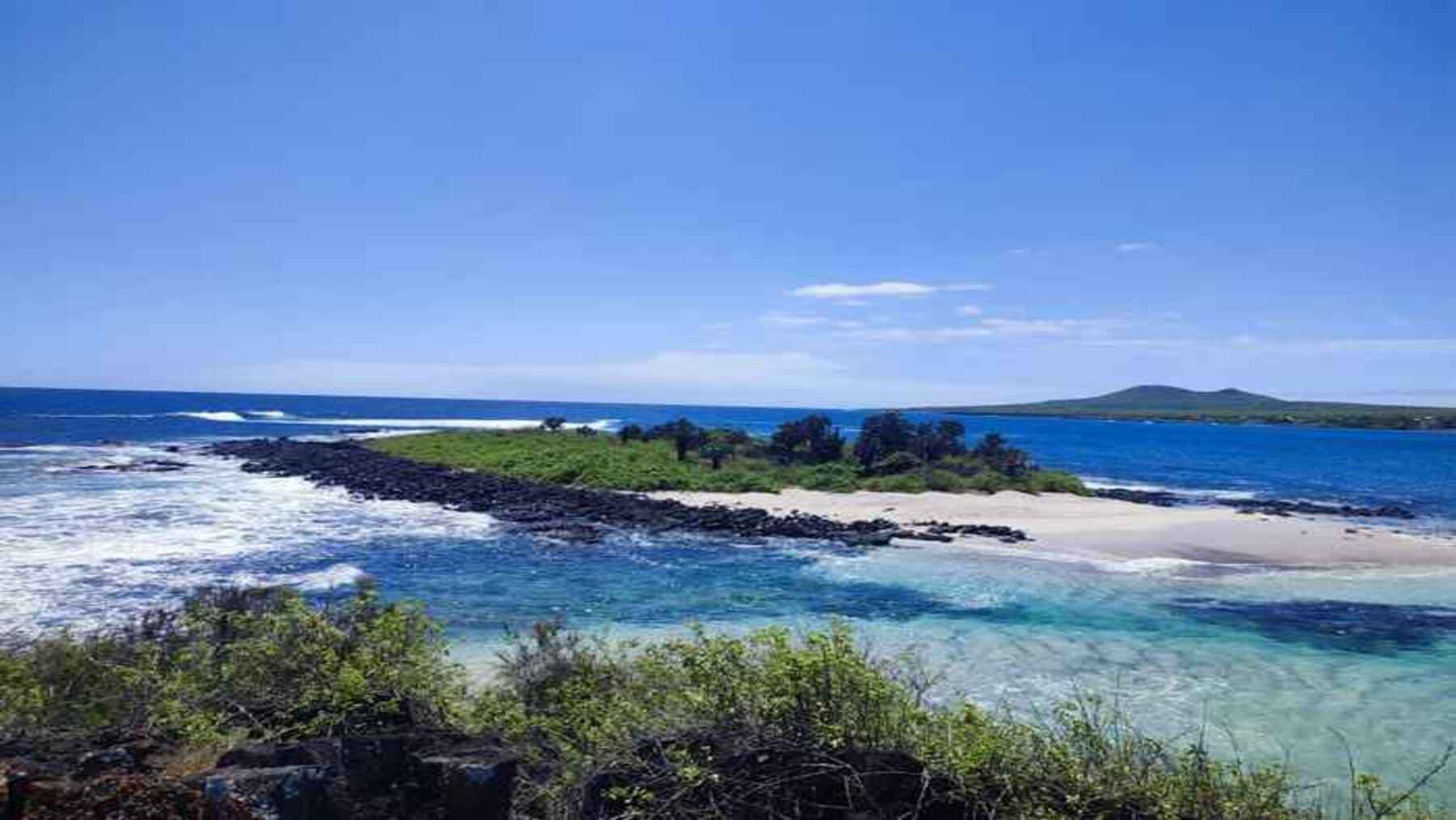 Isla de Galápagos: sistema de vigilancia inteligente en tiempo real de la vida silvestre