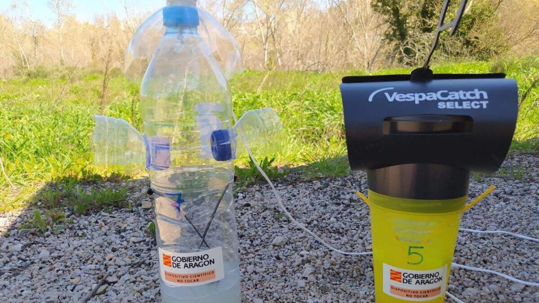 Trampa con botella reciclada y sistema VespaCatch contra la avispa asiática en Aragón.