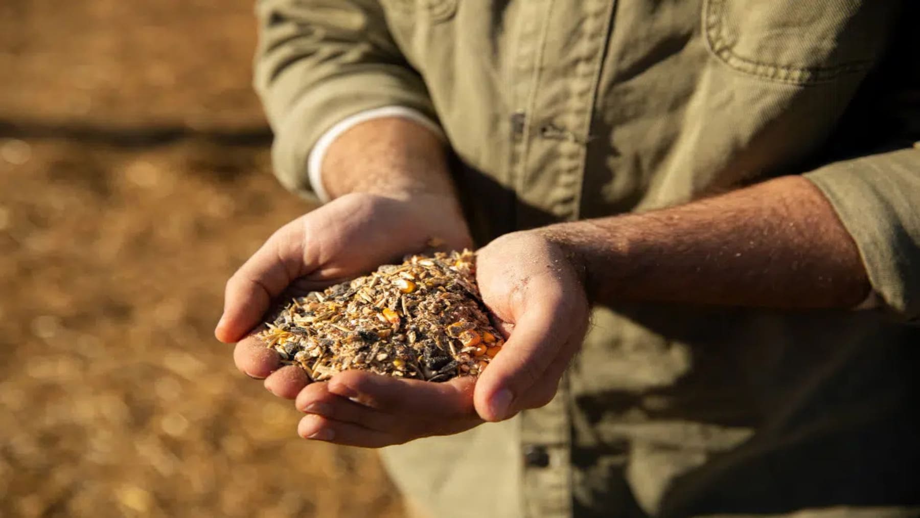 Productos elaborados porque un proyecto europeo crea cerveza y alimentos sostenibles con residuos de cereales y legumbres