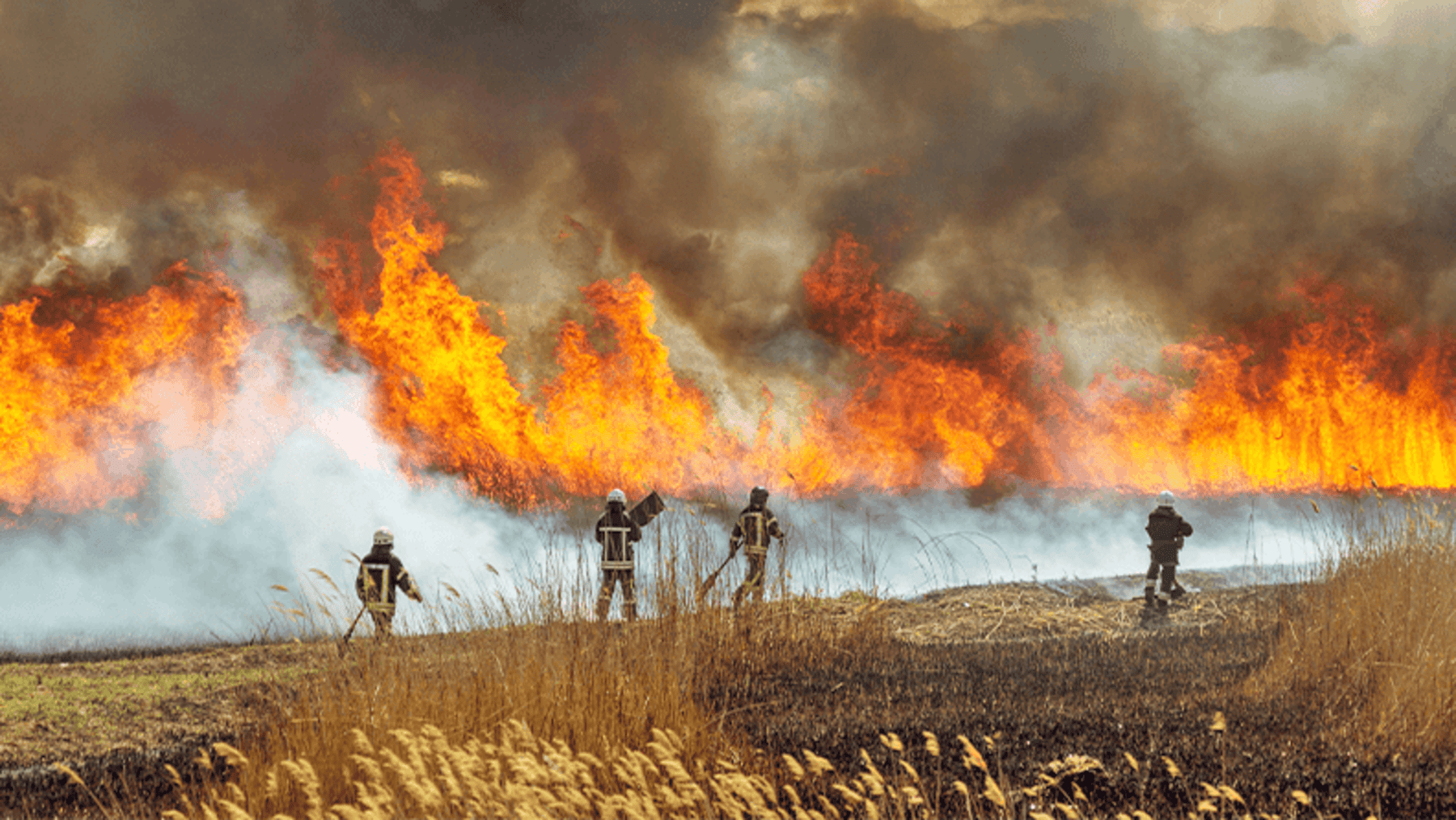Vitoria activa a agricultores voluntarios para frenar los incendios forestales