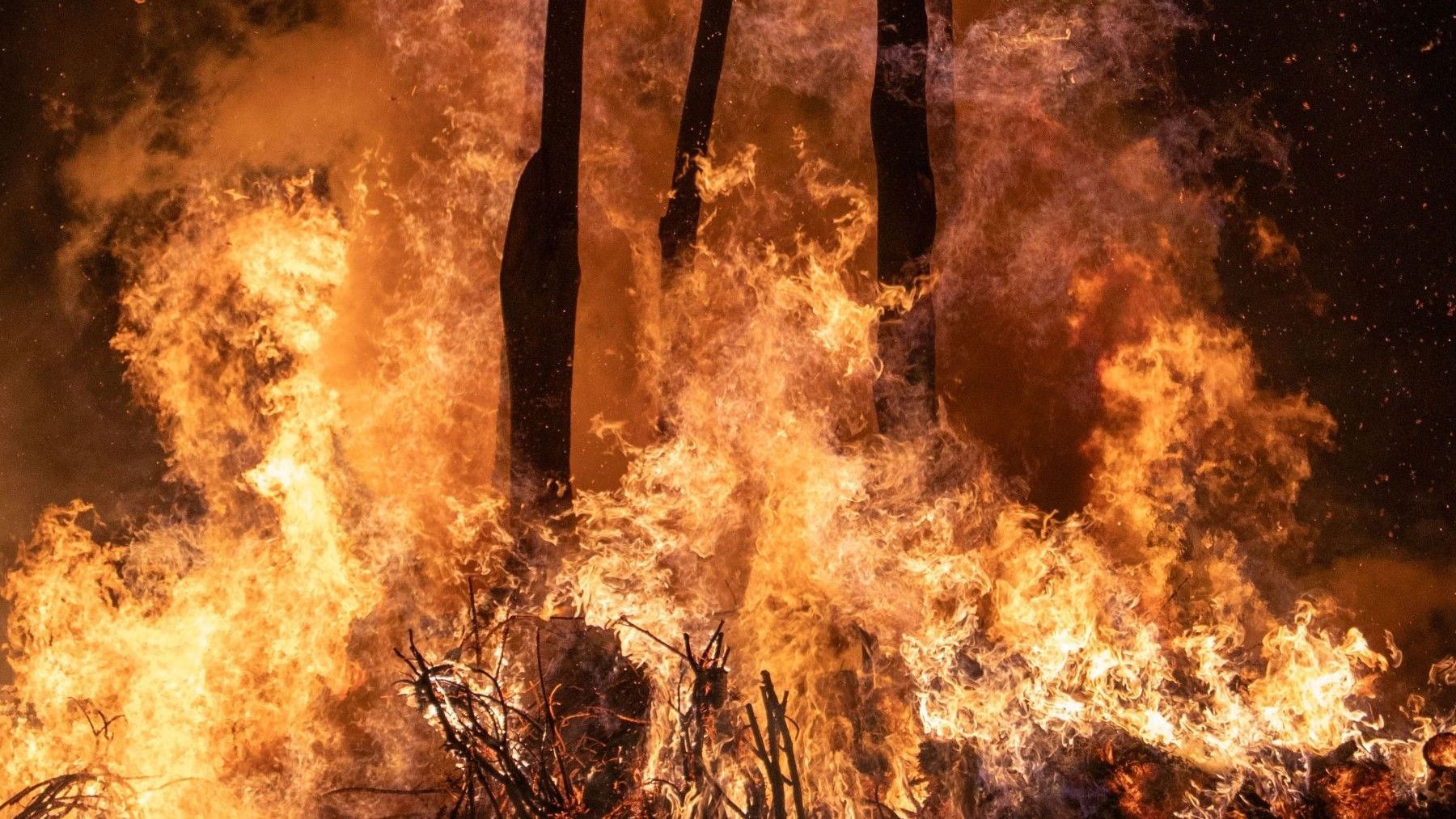 ECOticias.com - El Periódico Verde 33 30.000 hectáreas quemadas en España en 2026