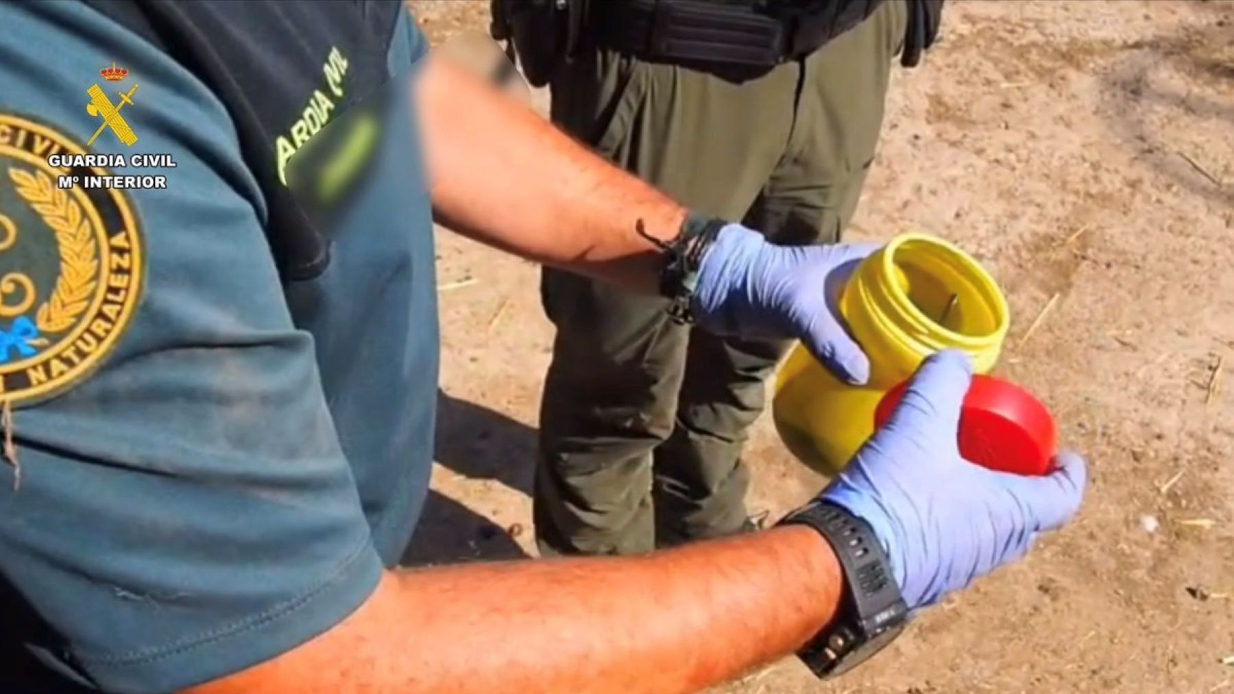 Pesticidas prohibidos amenazan la biodiversidad tras el hallazgo de Aldicarb en una explotación de Cáceres.