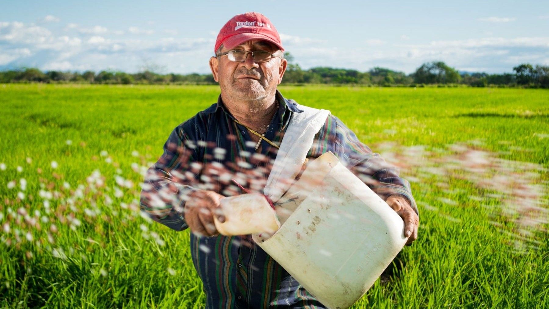 La agricultura ecológica que convence por conciencia y rentabilidad en una finca agrícola de Andalucía