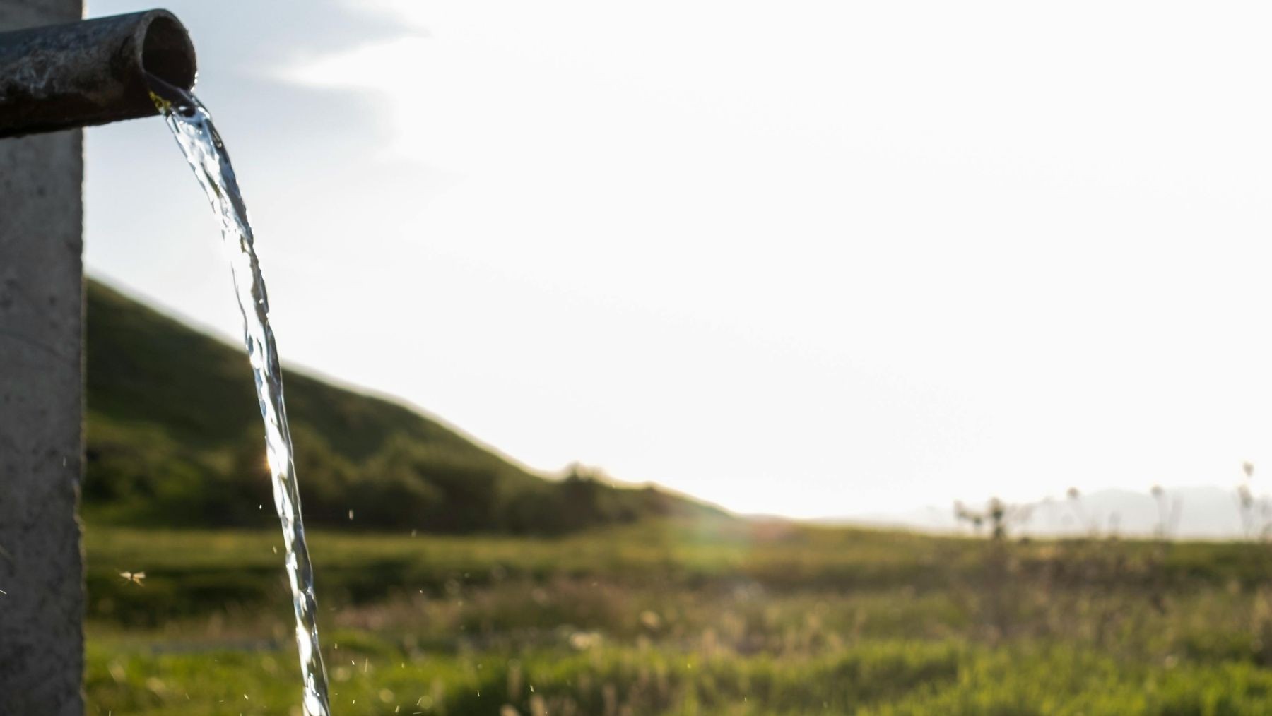 las empresas ecológicas de Cádiz apuestan por la certificación del agua para exportar más