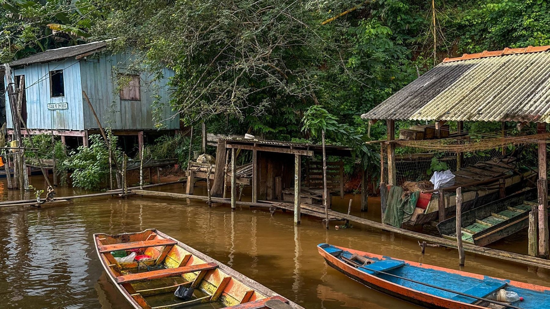 arquitectura sostenible inspirada en el Amazonas en un proyecto de construcción ecológica
