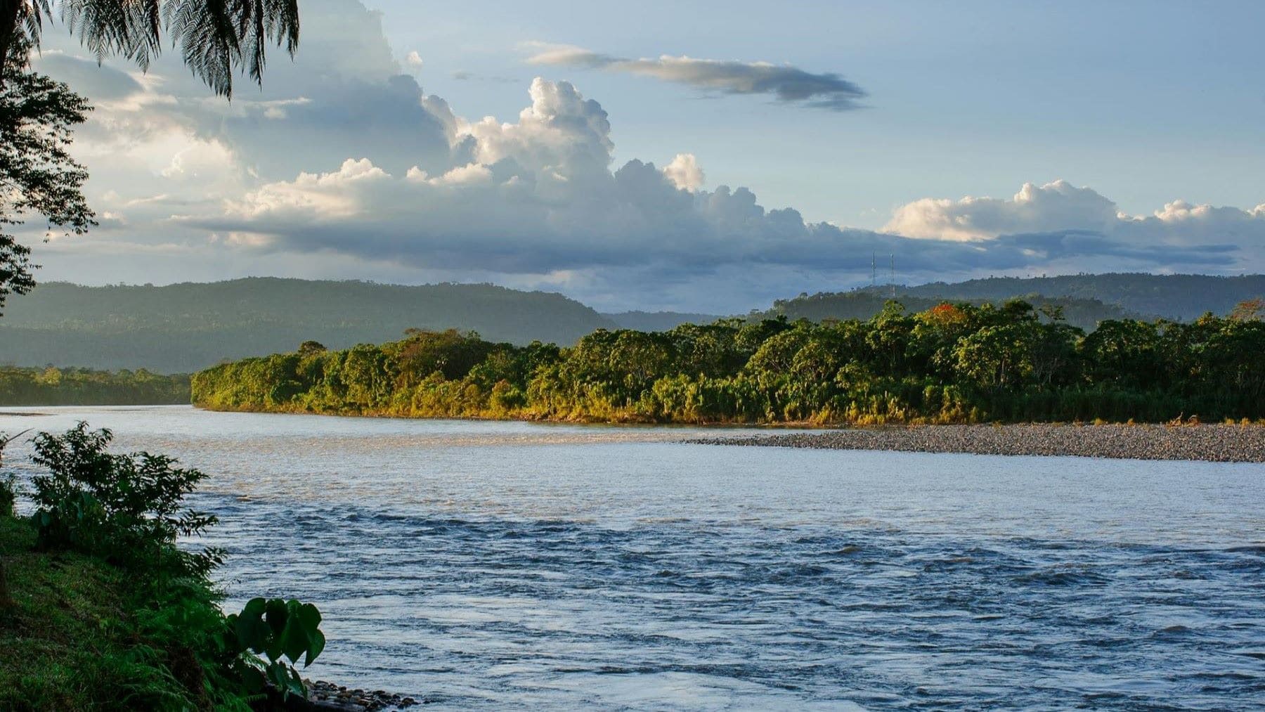 El tesoro oculto de la Amazonía peruana con nuevas especies descubiertas en el Manu