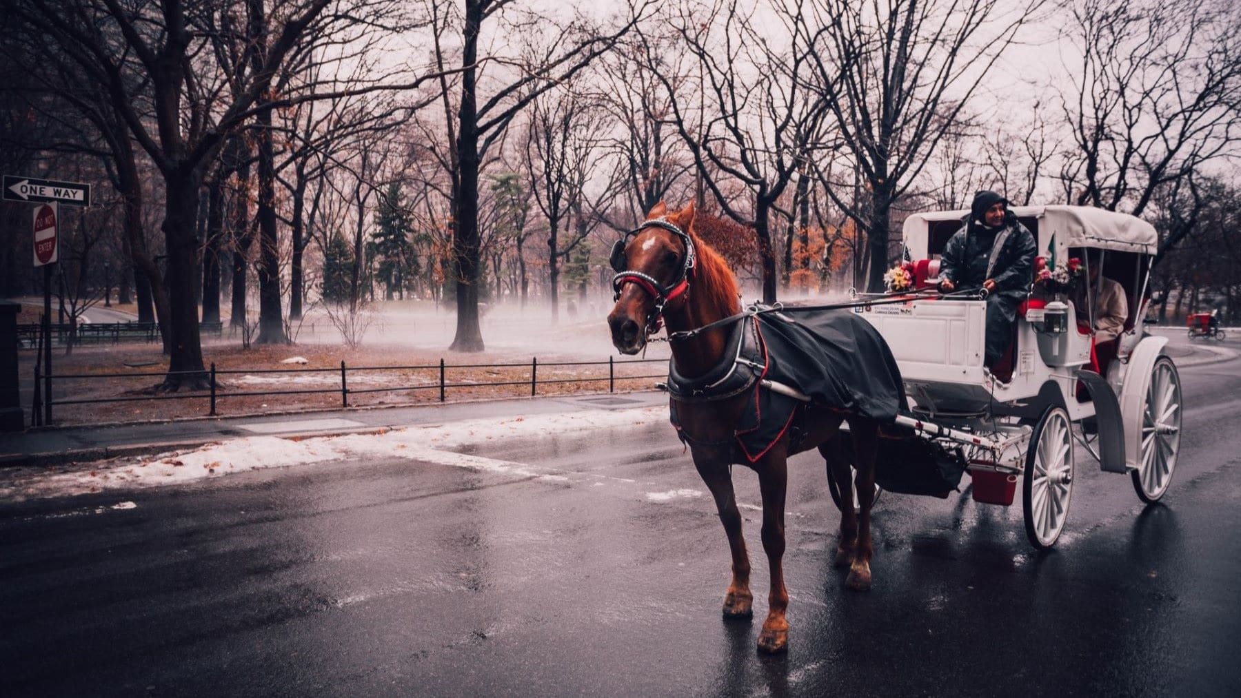 Nueva York reabre el debate sobre los carruajes de caballos tras una nueva muerte