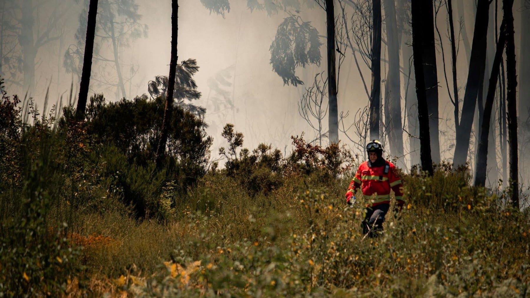 Castilla-La Mancha despliega su mayor escudo contra incendios forestales con miles de efectivos