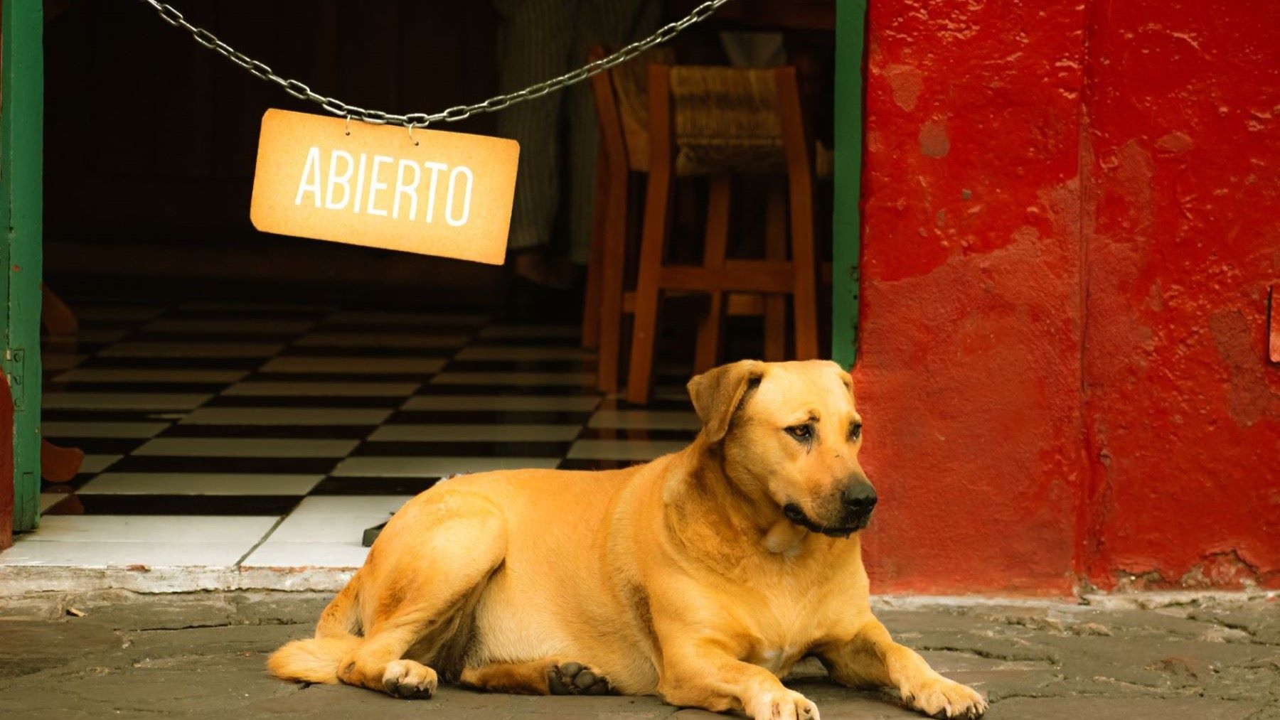 los comercios que aceptan mascotas en Astillero