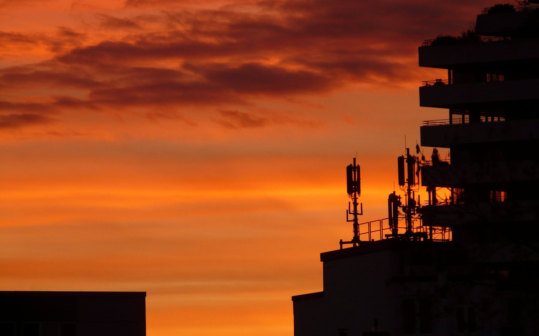 Día Internacional contra la Contaminación Electromagnética 2026