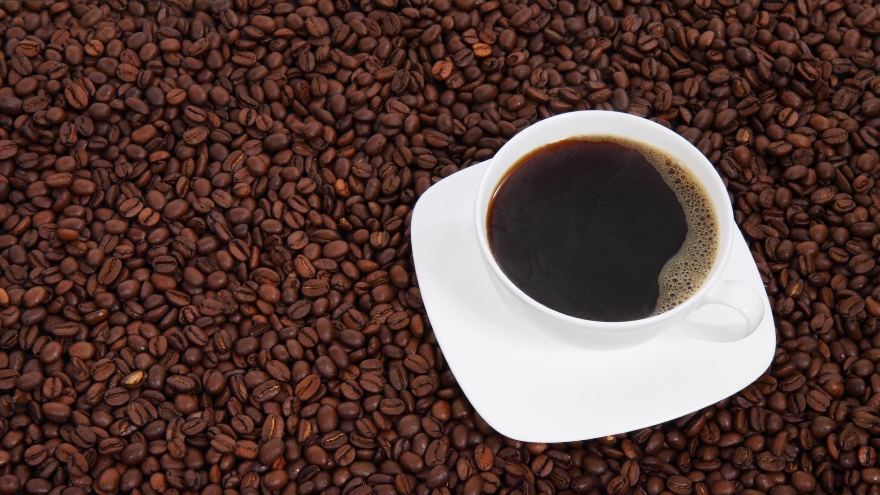 el café contiene pesticidas prohibidos