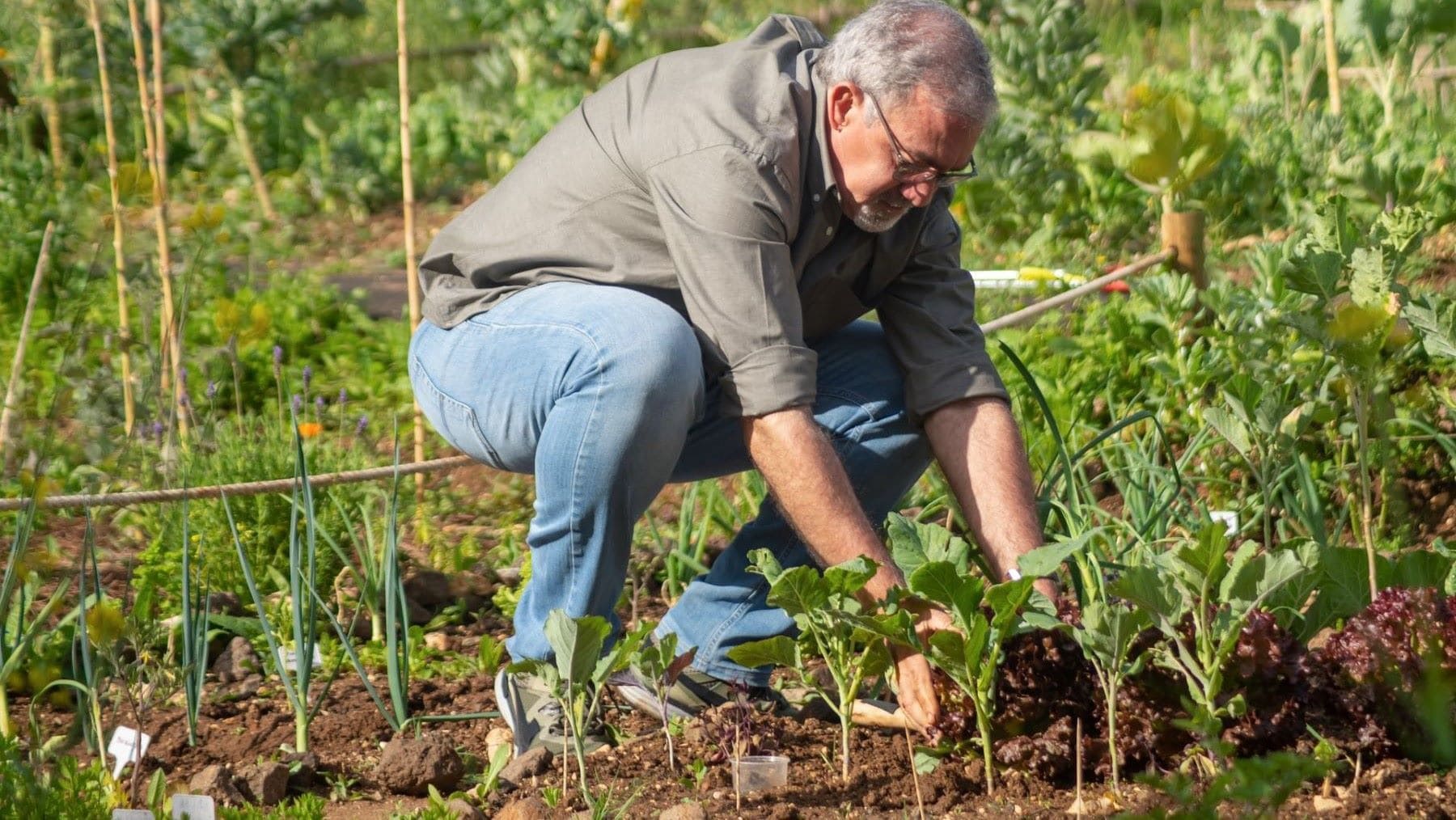 Proyecto PAHP impulsa la formación en agroecología para horticultura